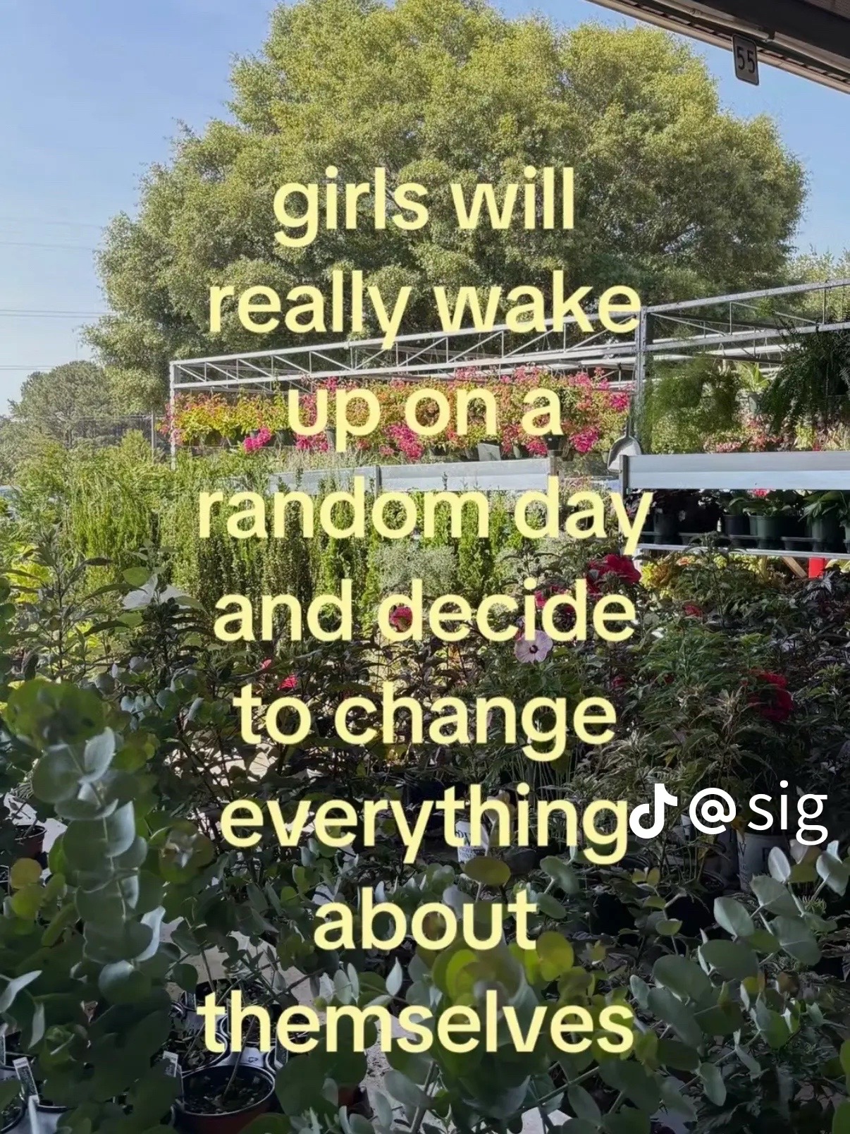 @greenlyw