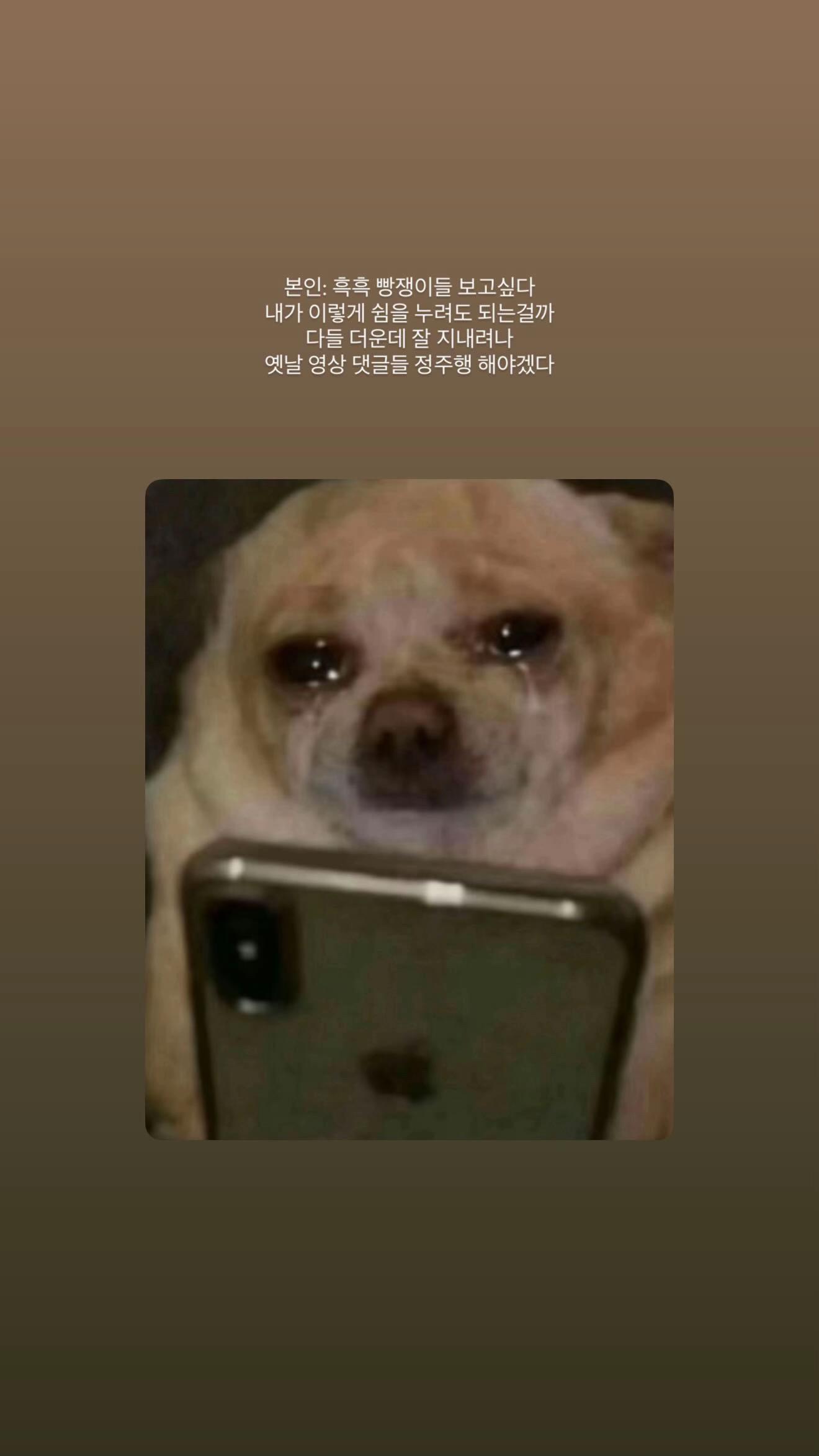 @빵먹다살찐떡