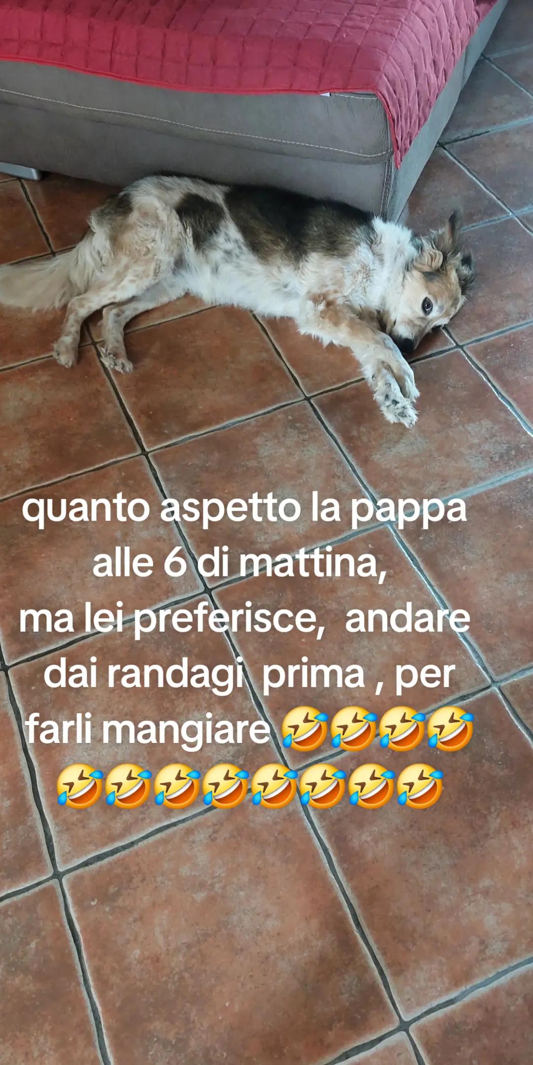 @Mariella volontaria attivista