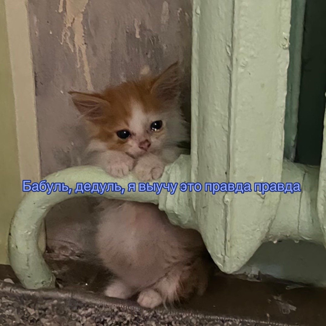 @Забытая