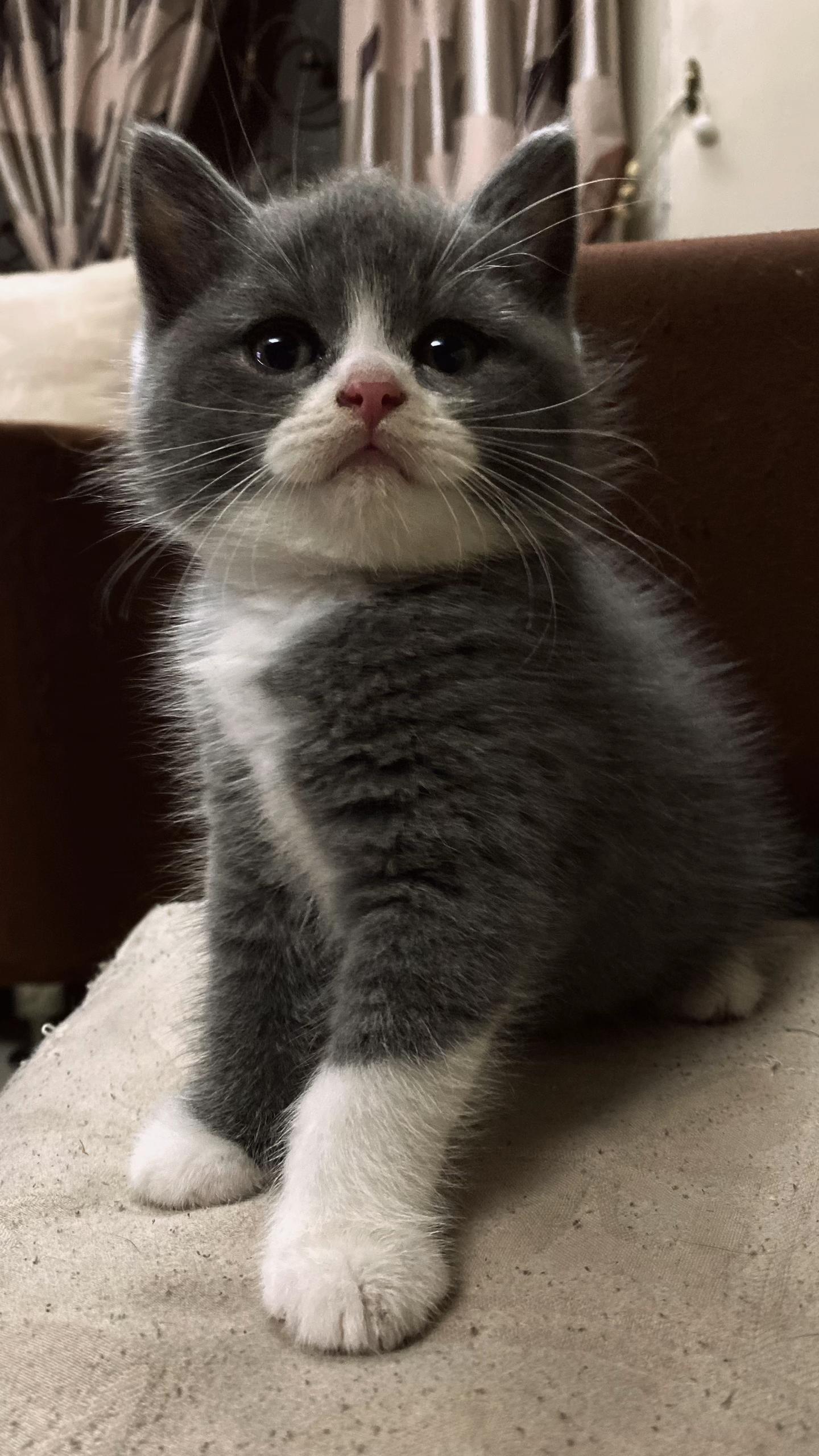 @erin_sandha