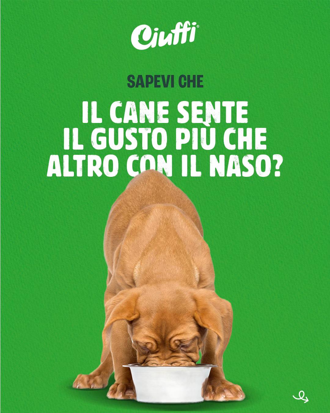 @Ciuffi