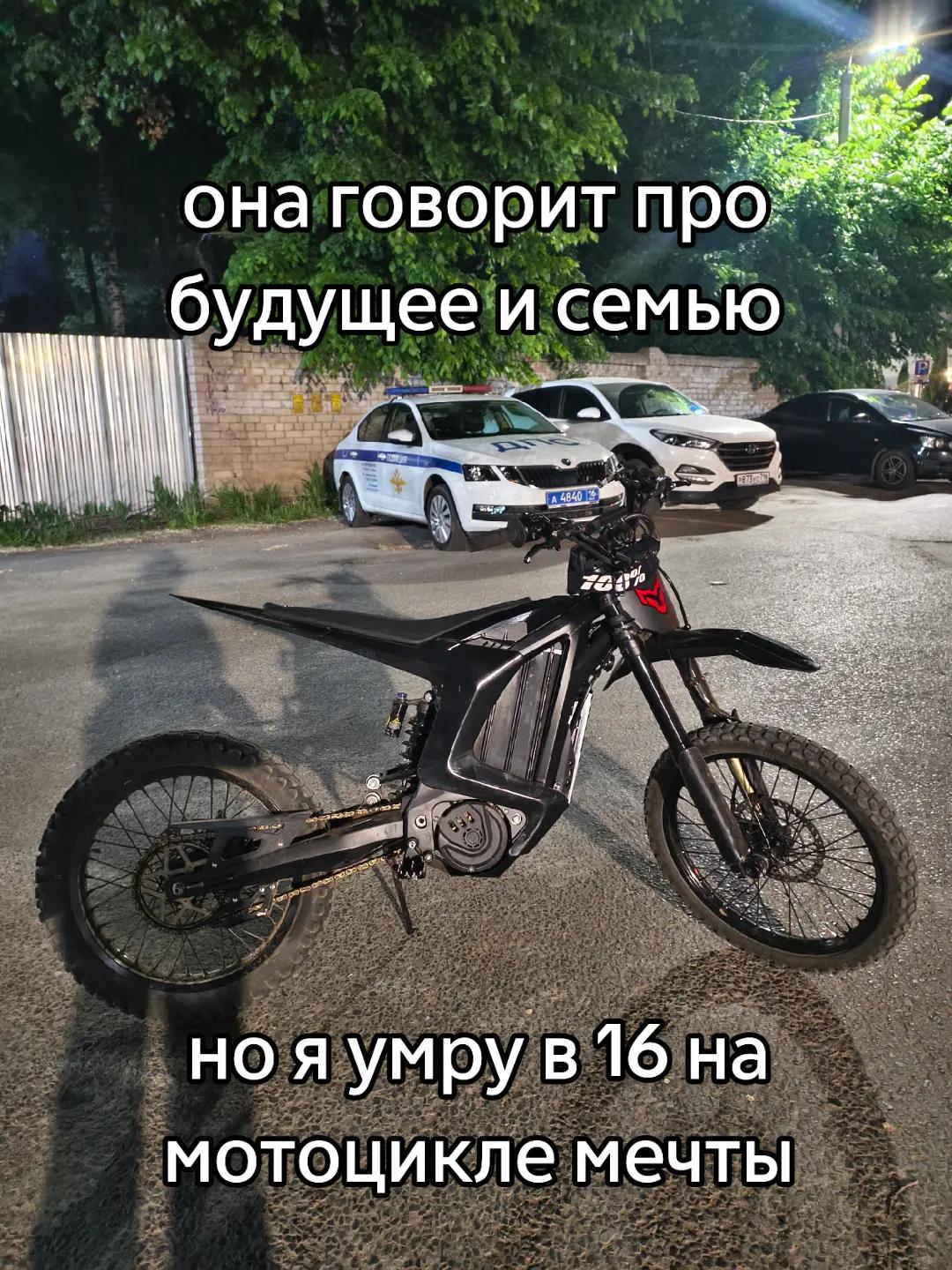 @казанский леопард