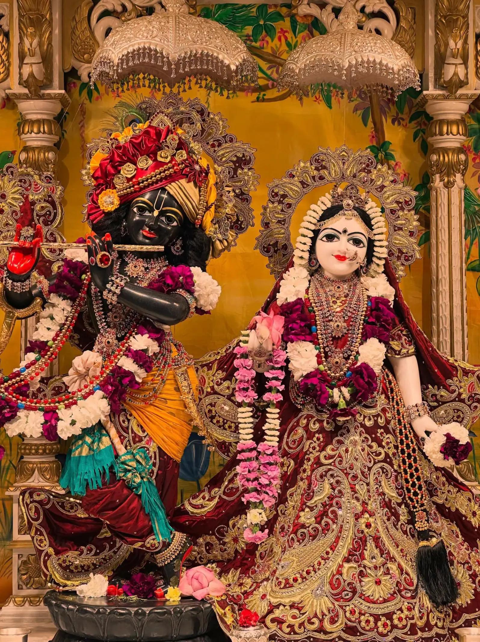 @nirobsarkar