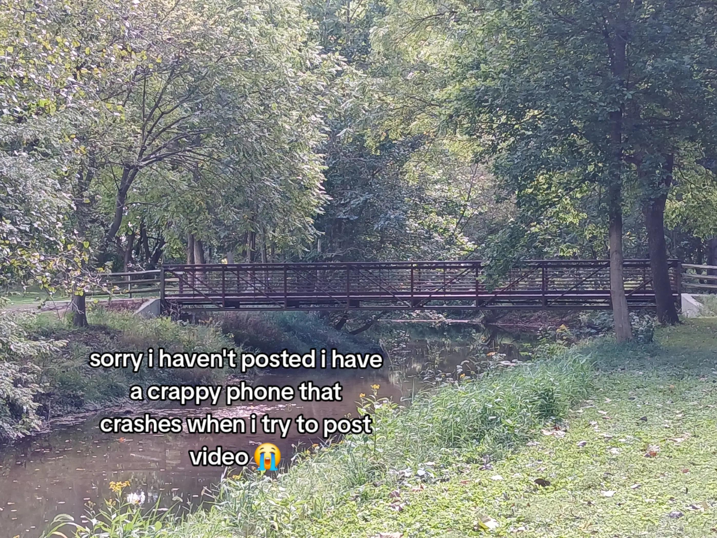 @crazy_dog_person