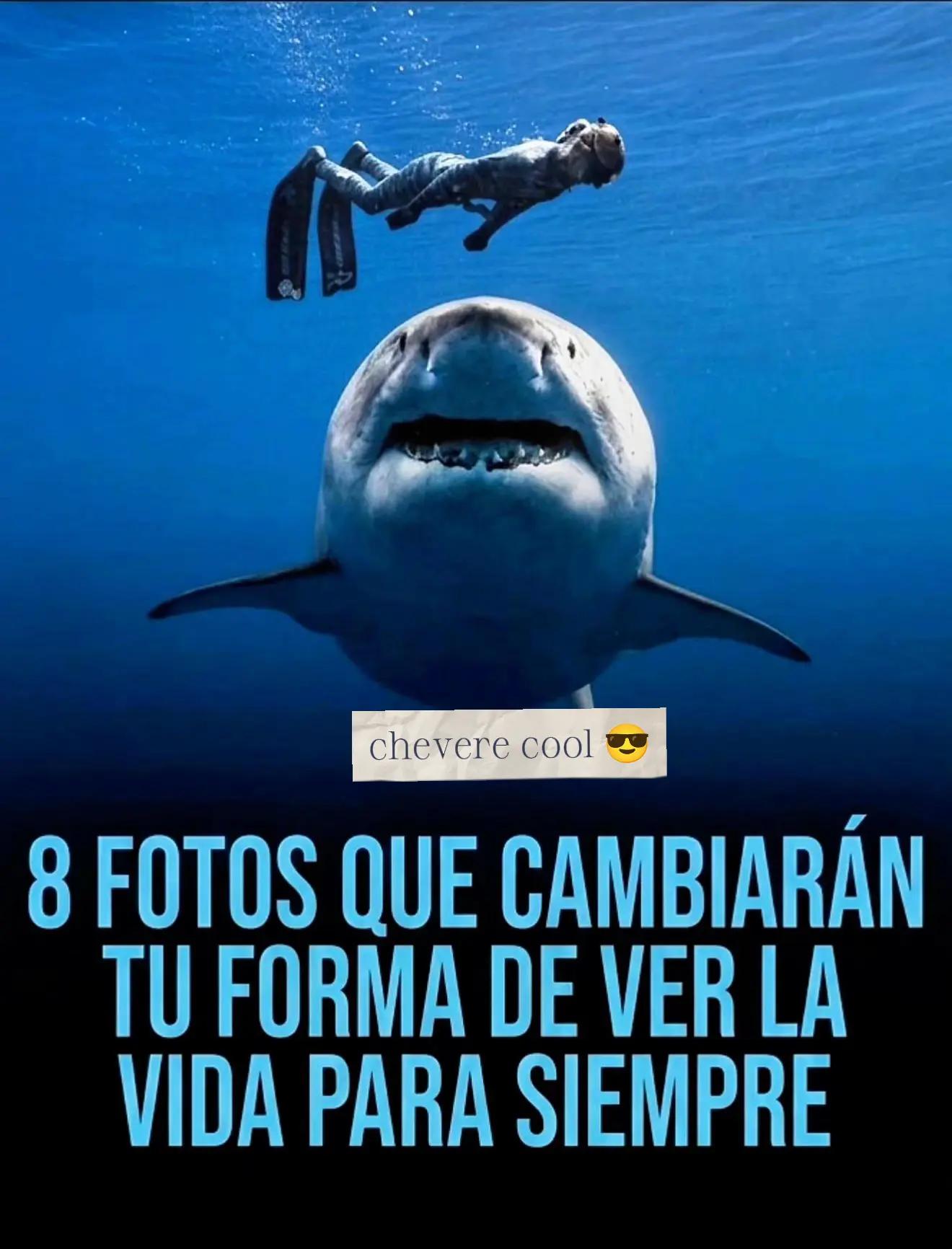 @ErickRicco🇵🇪🇺🇸👑