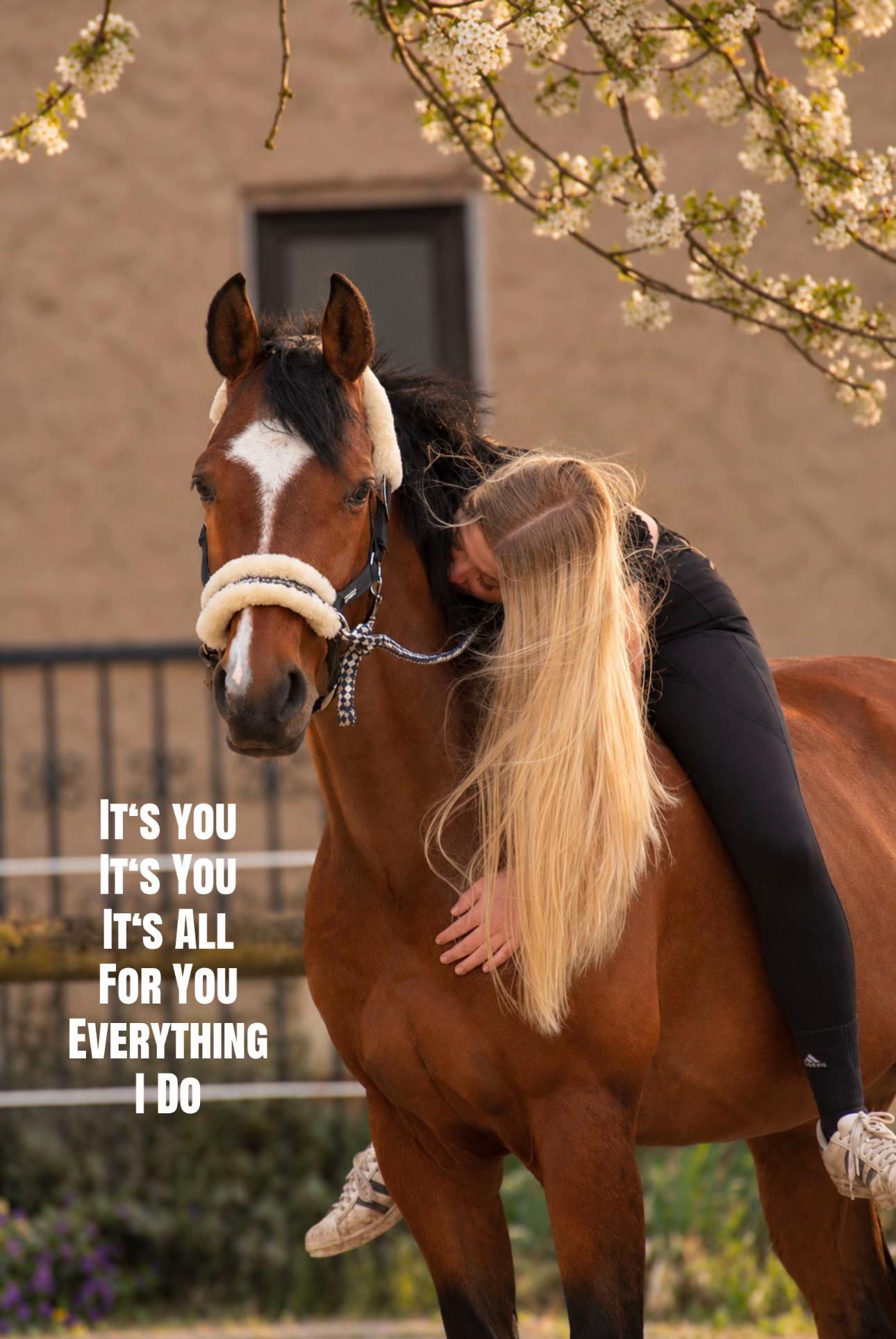 @callitoos.horselife