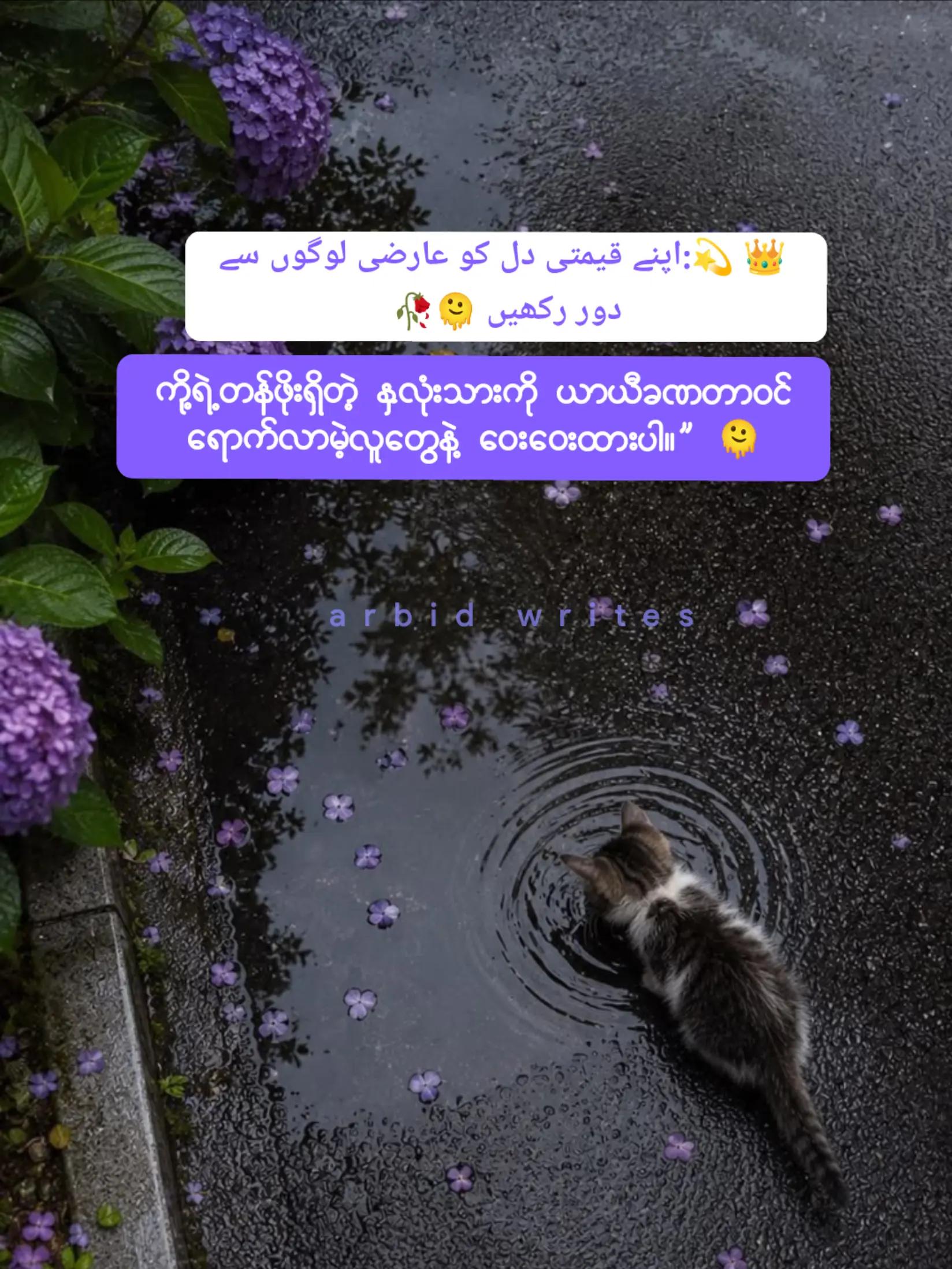 @Arbid Khan