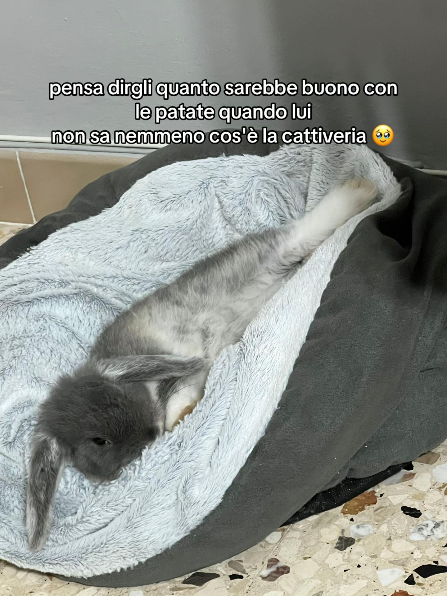 @Giada๐