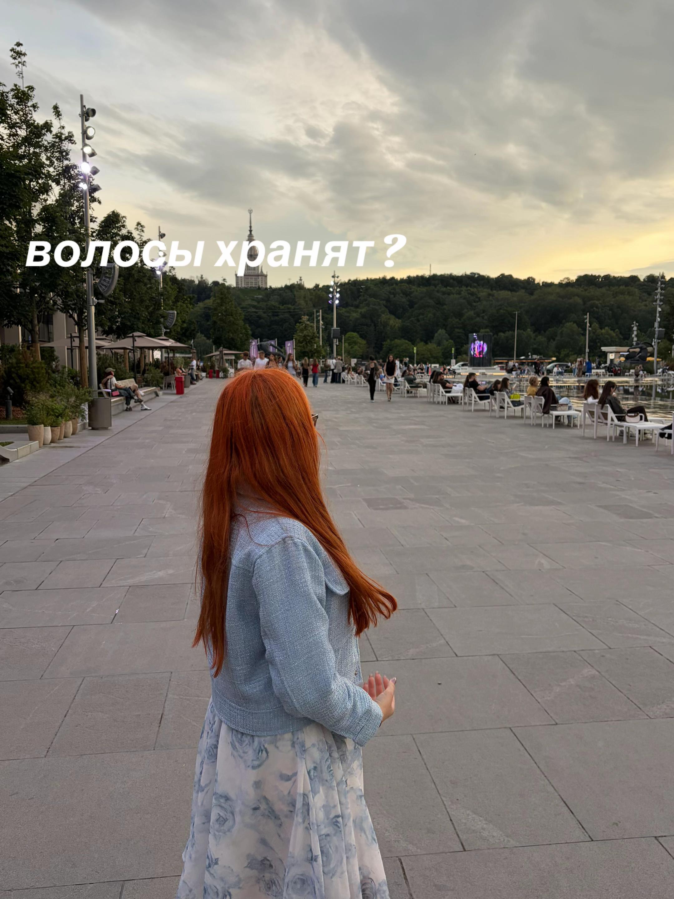 @agnesso 🦢