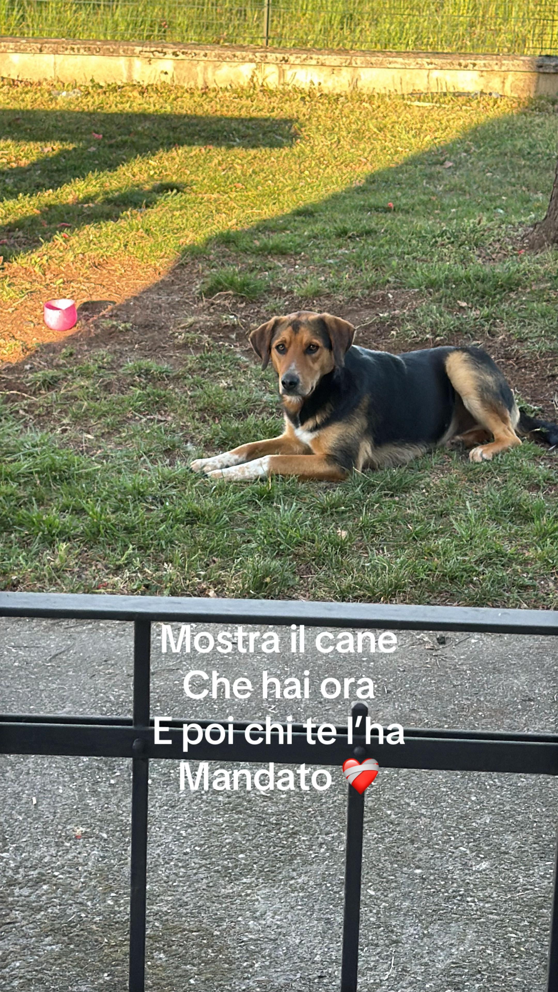 @vittoria_bullio