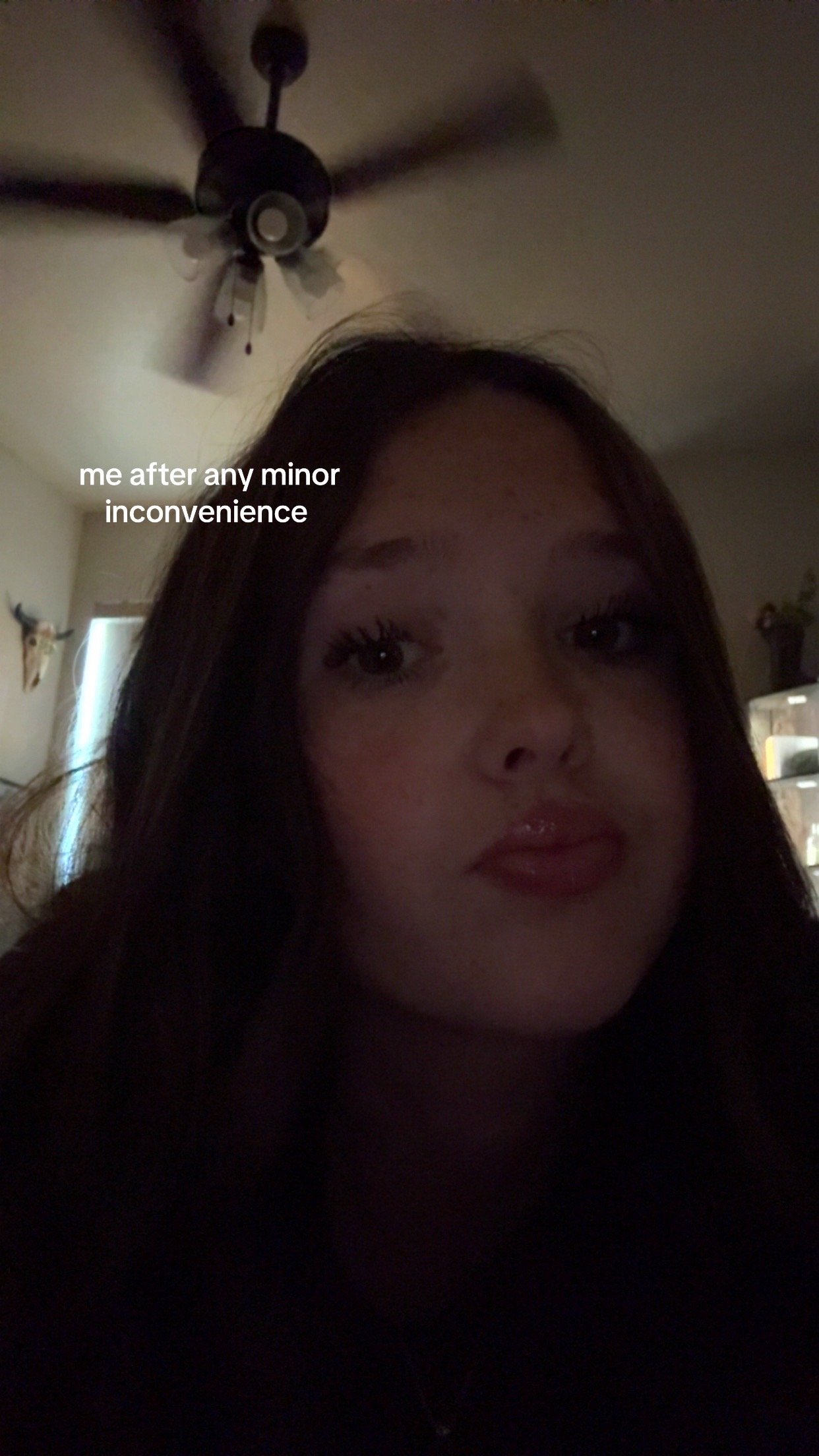 @haileyspam