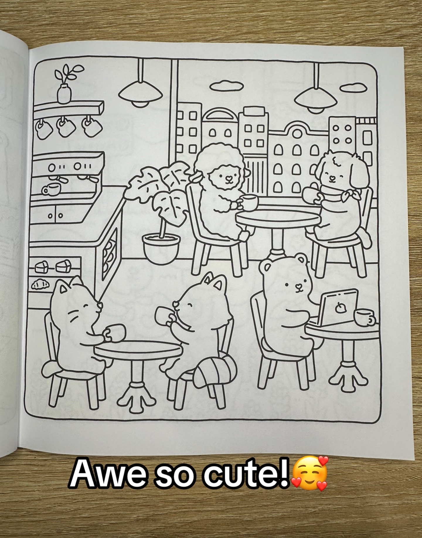 @Colorwithdesi
