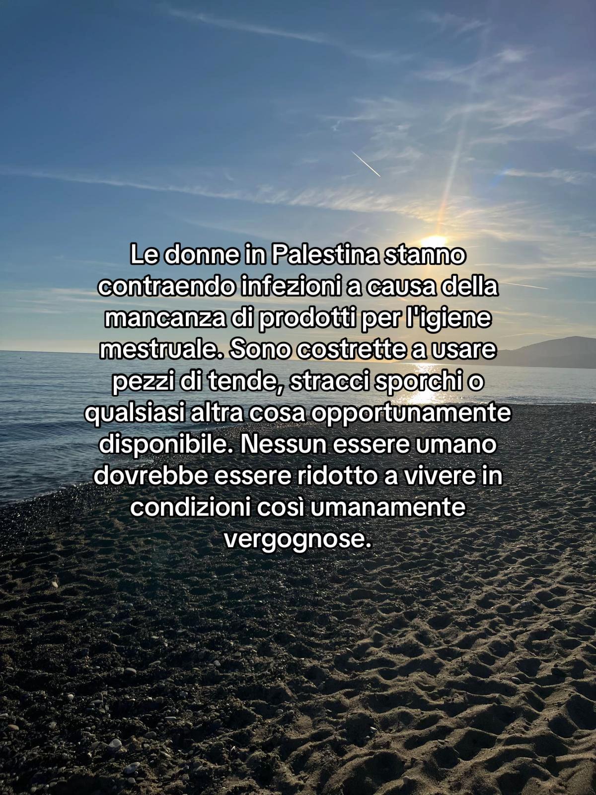 @zecca sinistroide