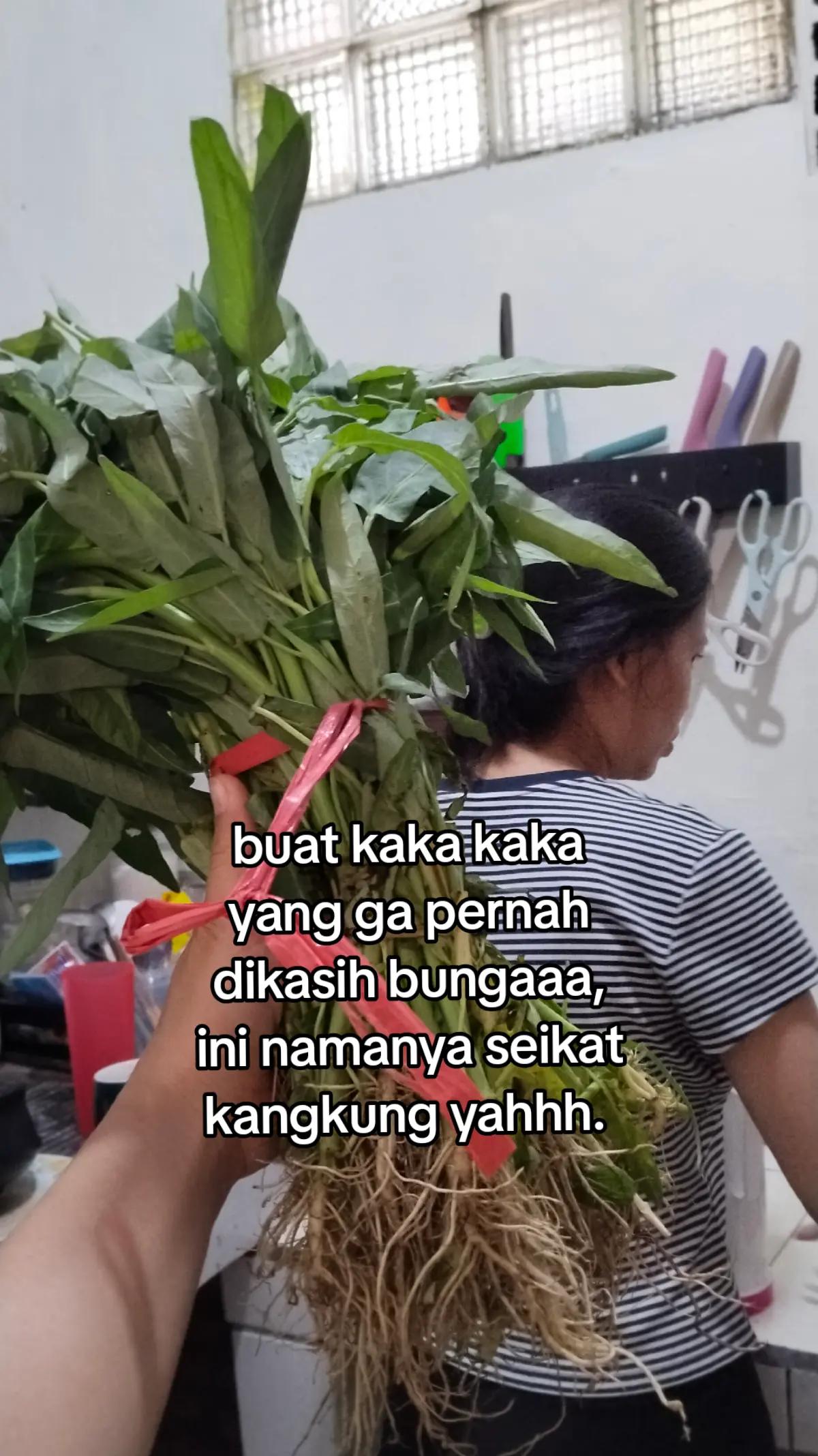 @Cece