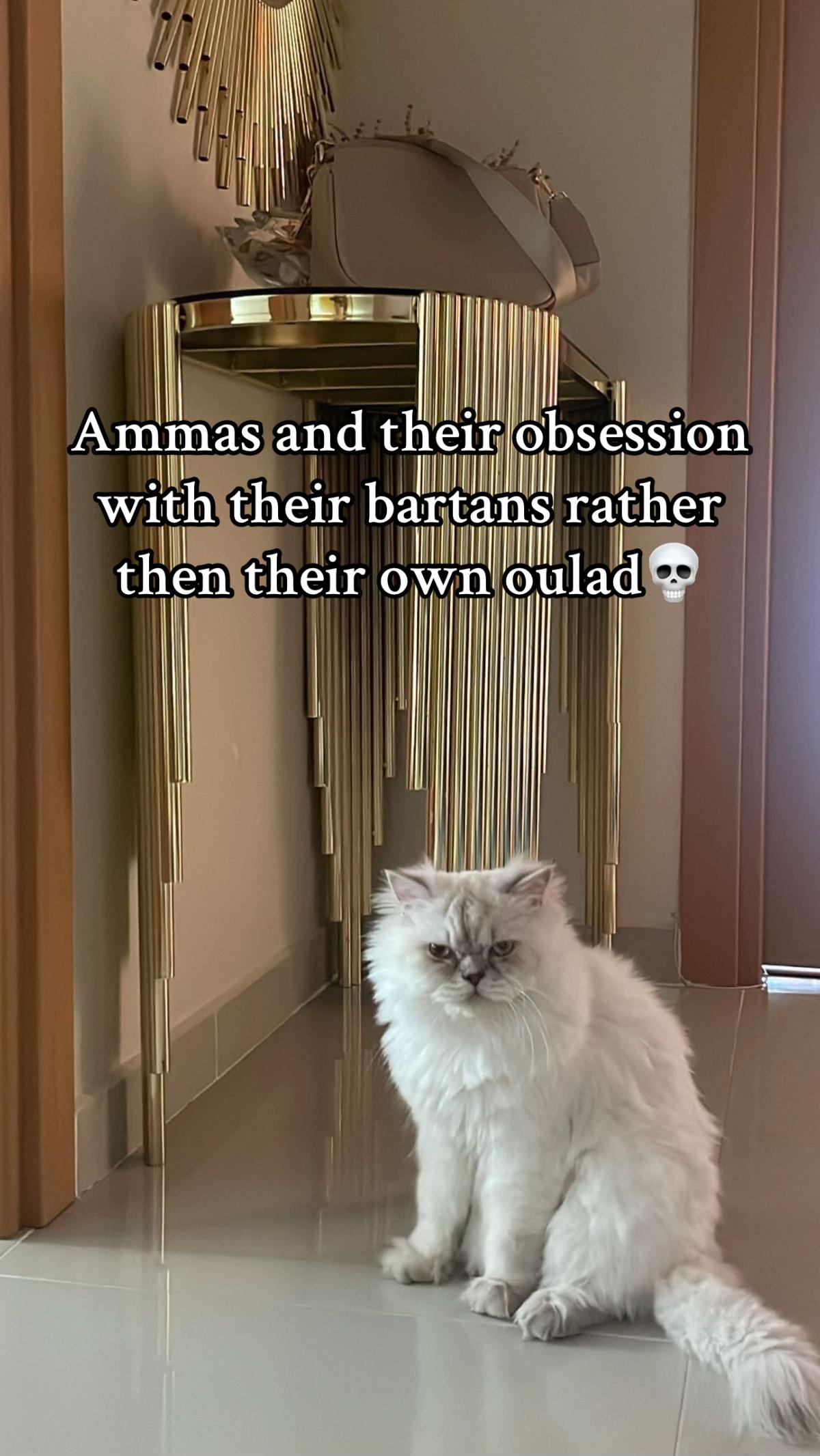 @🌷