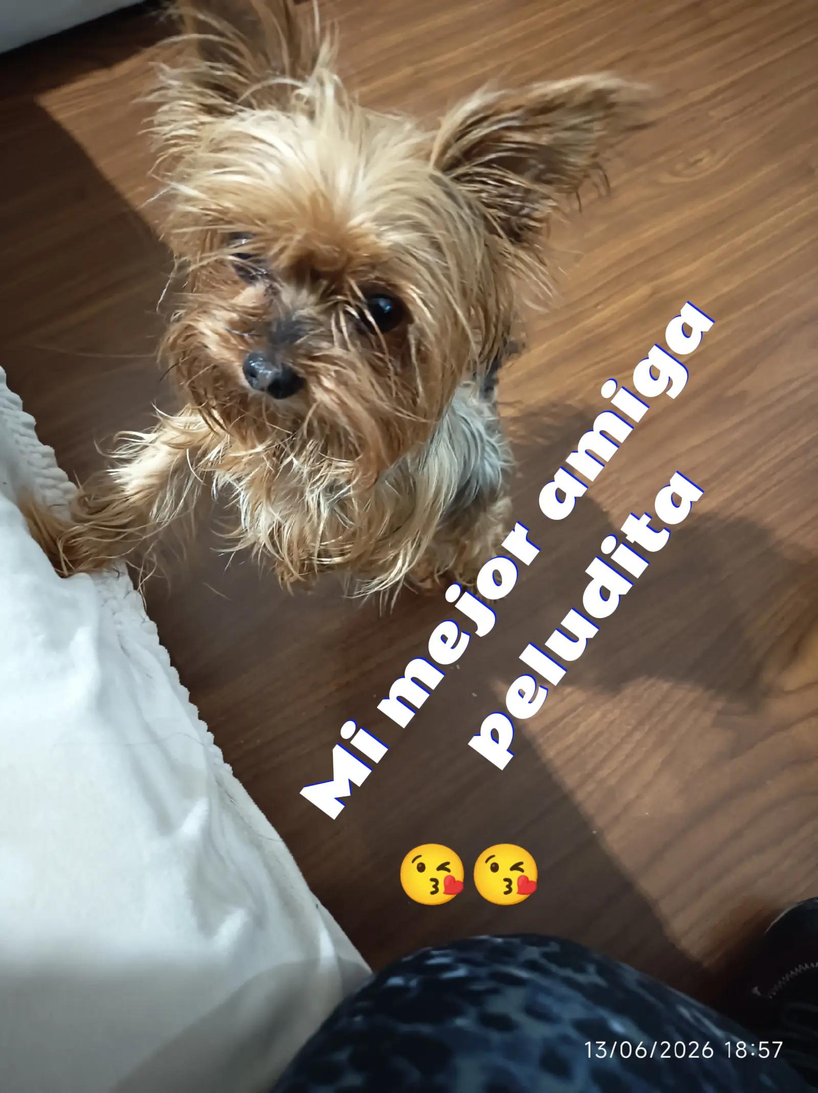 @martamillan772