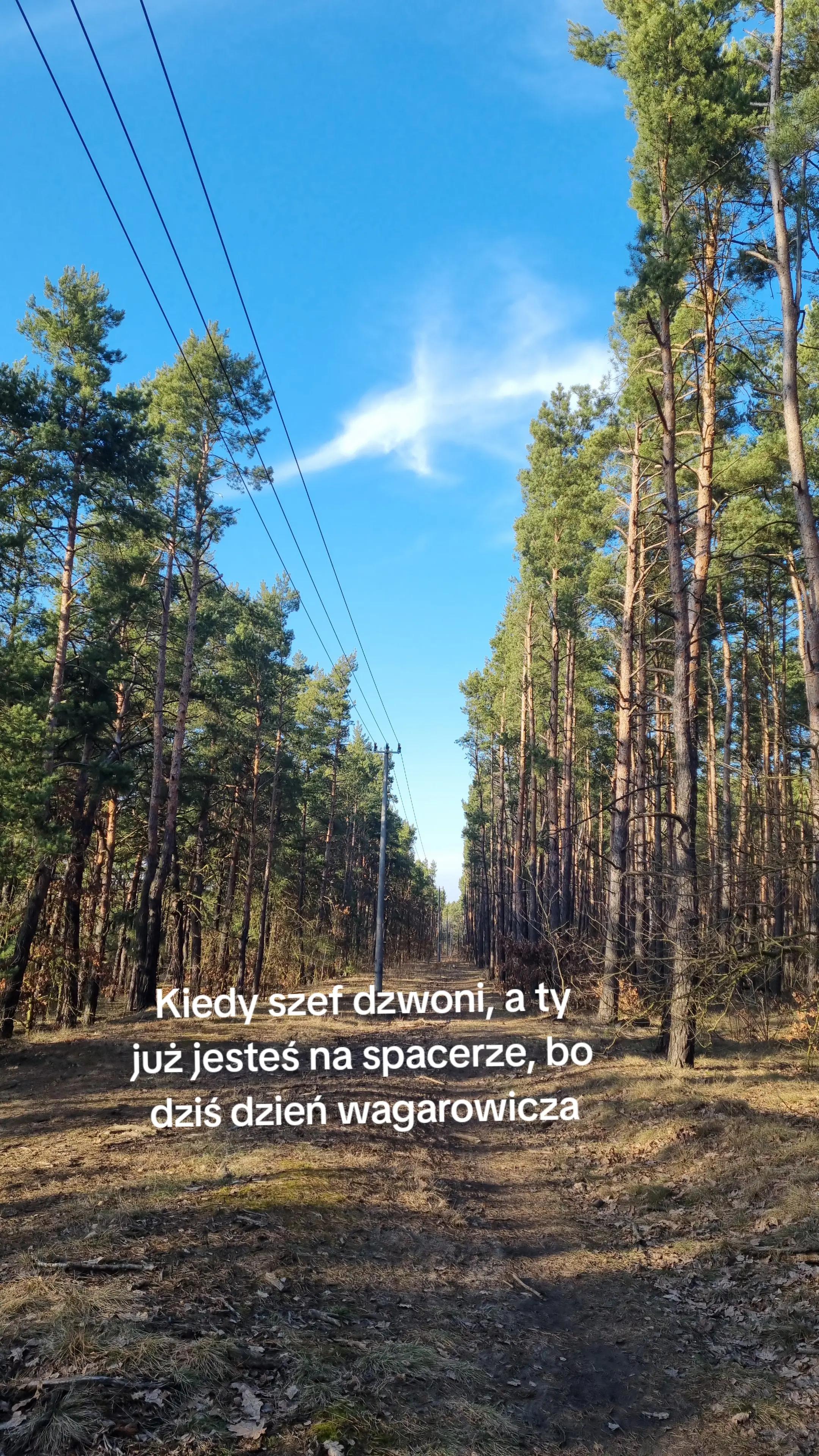 @Metelówna
