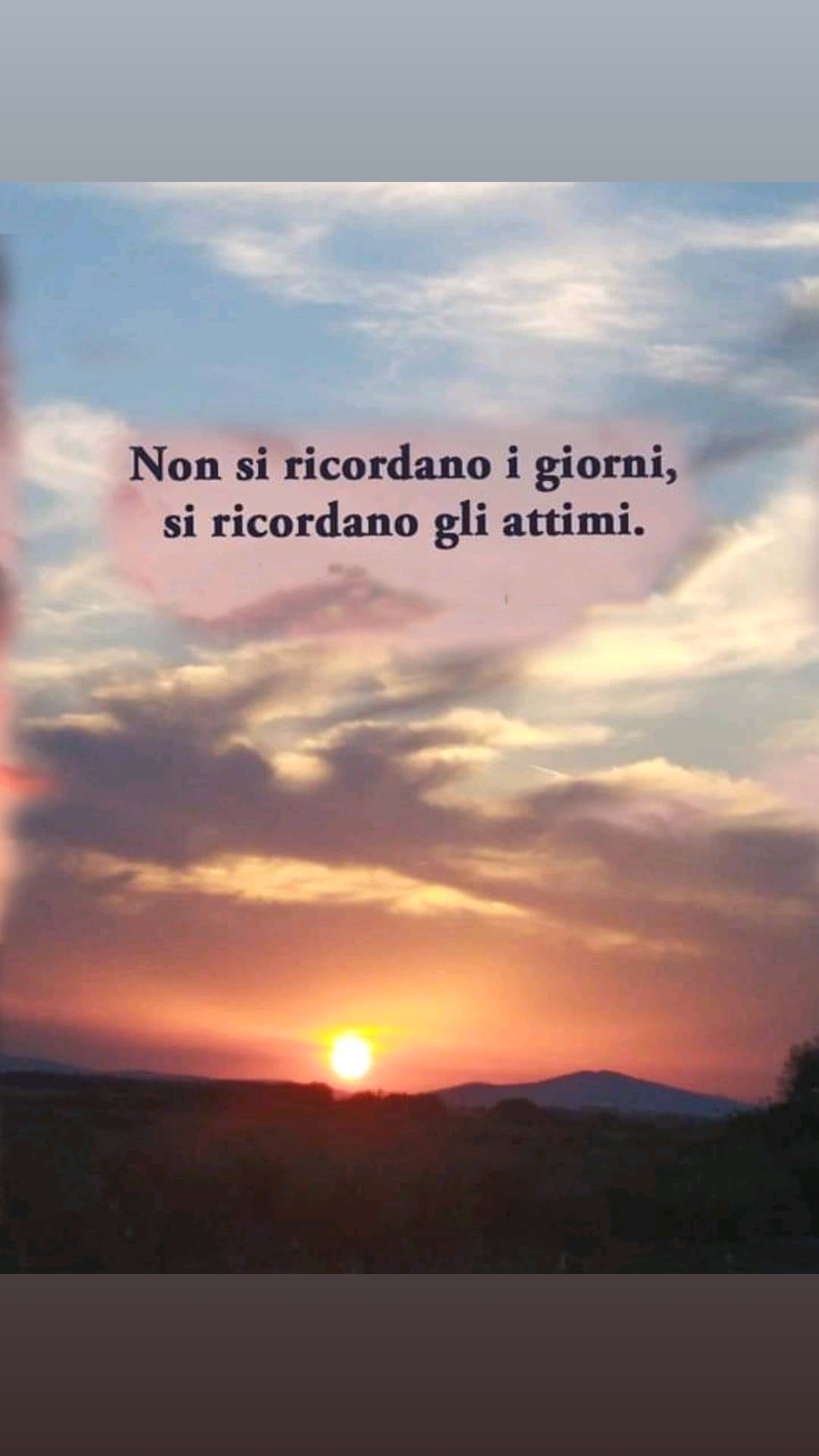 @sandrabannino