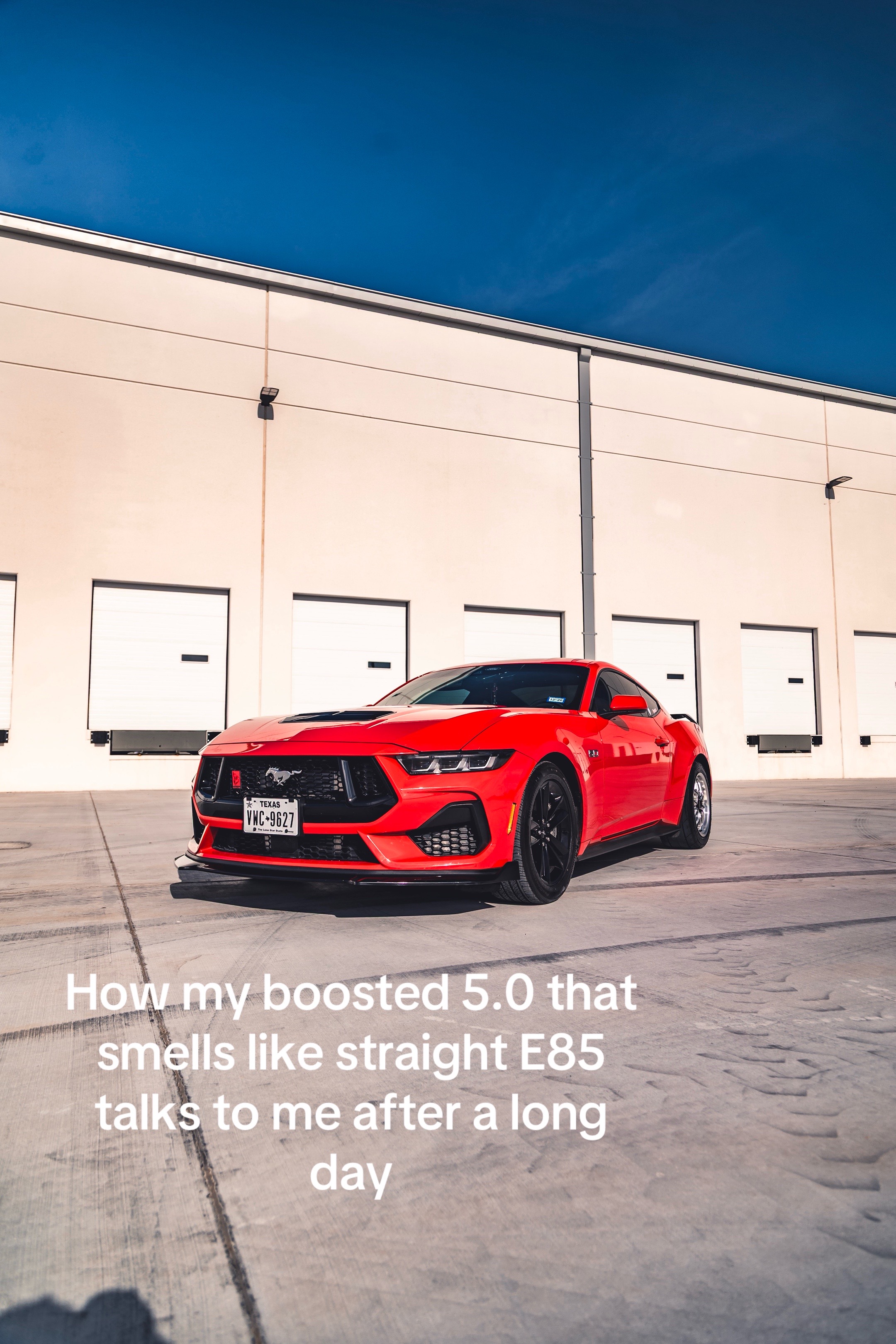 @Alex_S650🐌