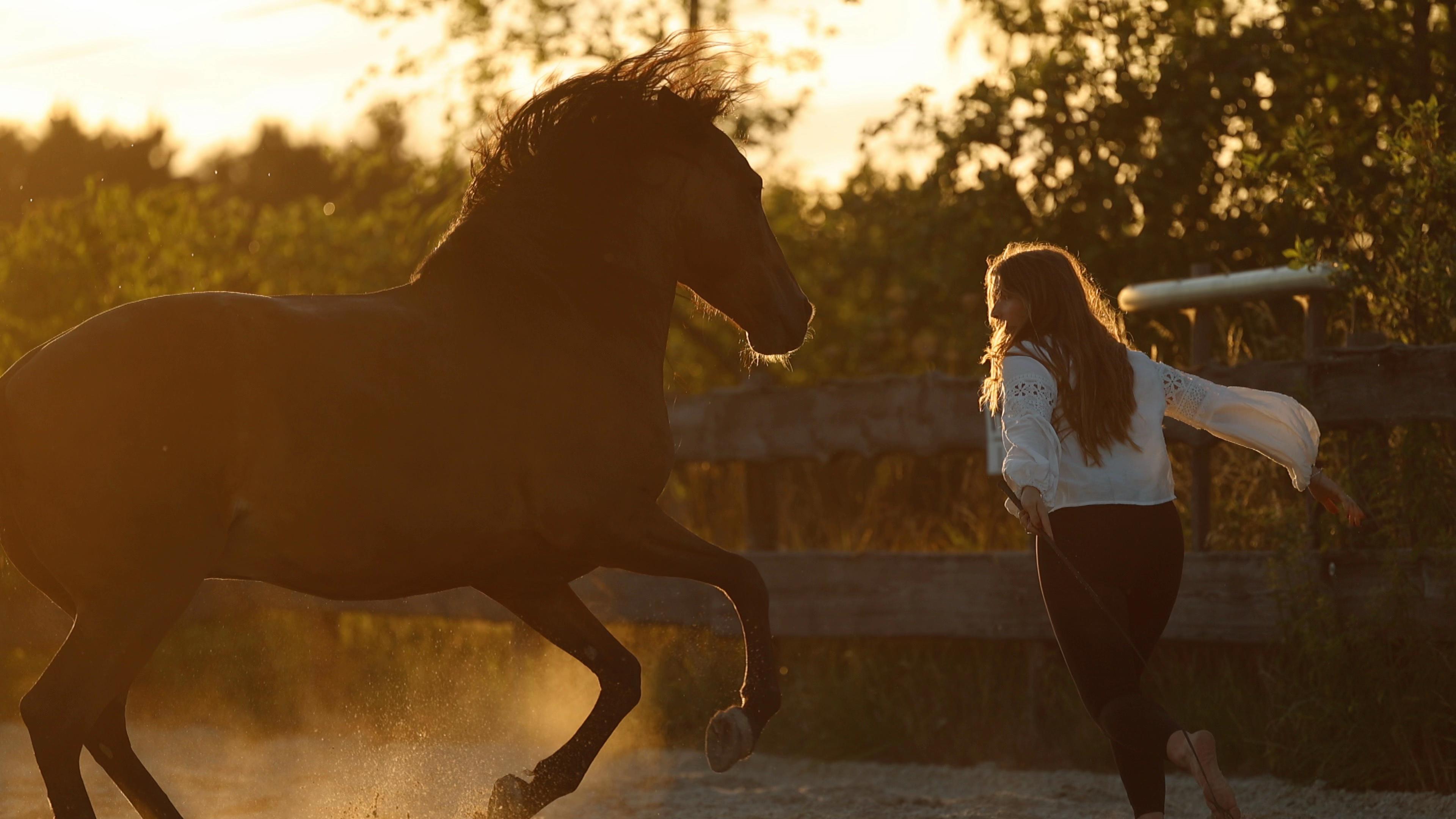 @FieryHorses ❤️&zwj;🔥