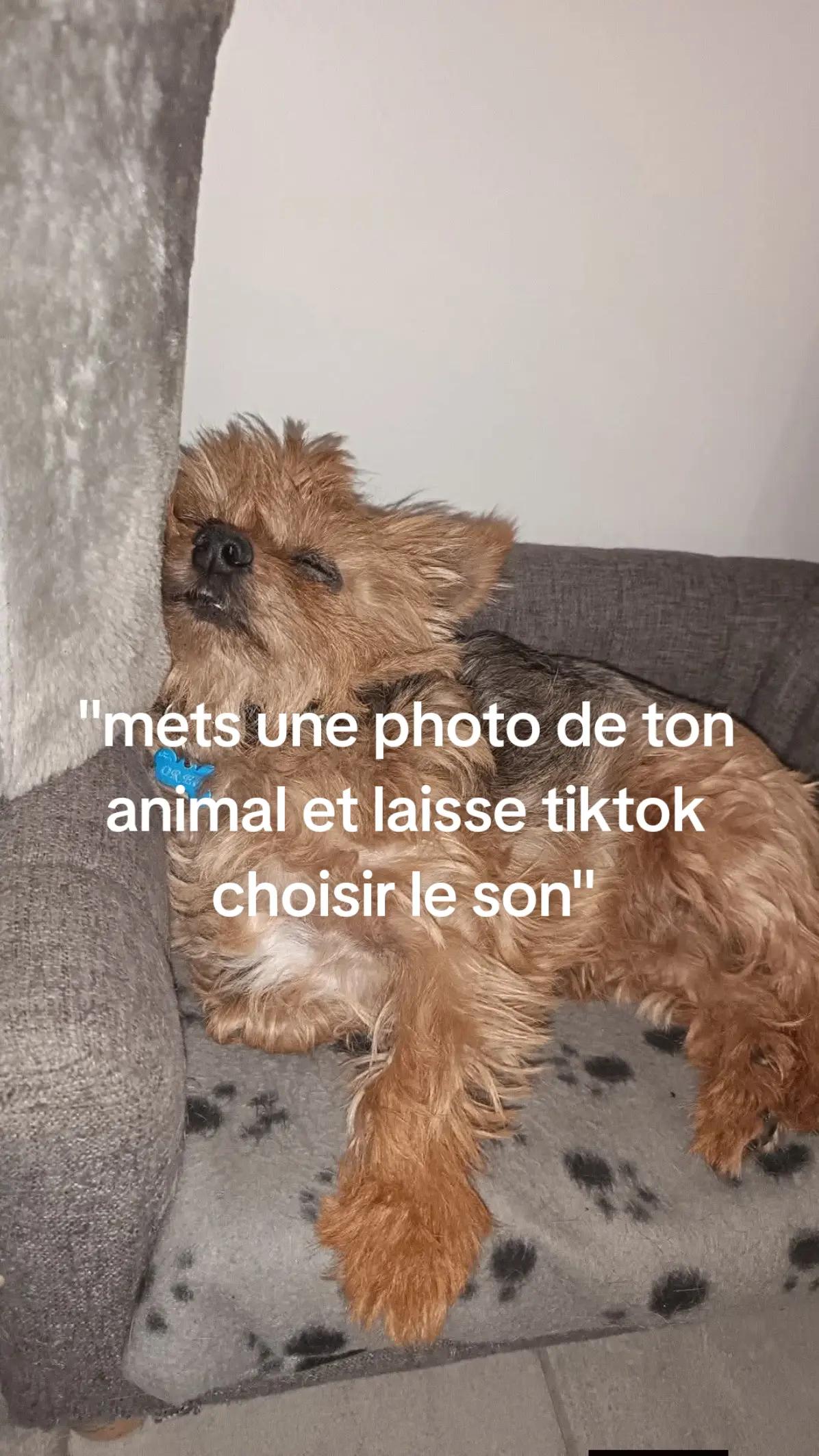 @Constance💫