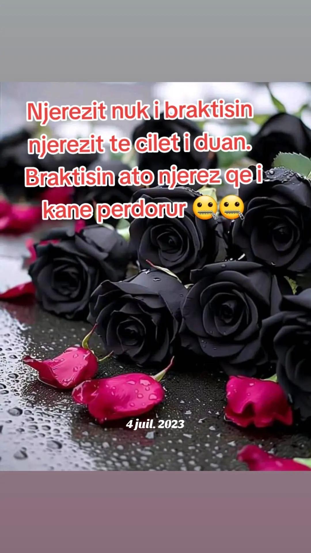 @Brik