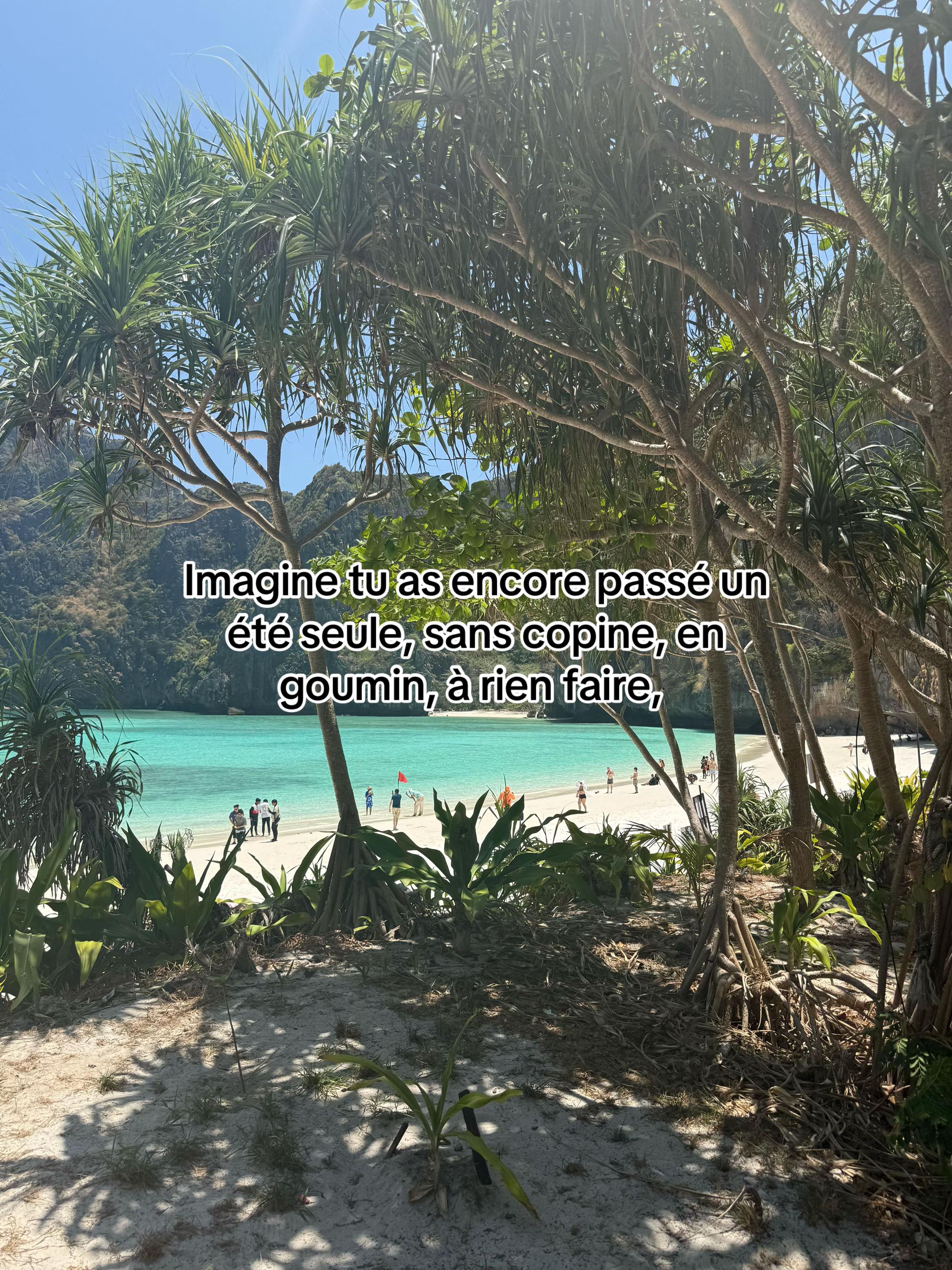 @Coco 🥥🏝️