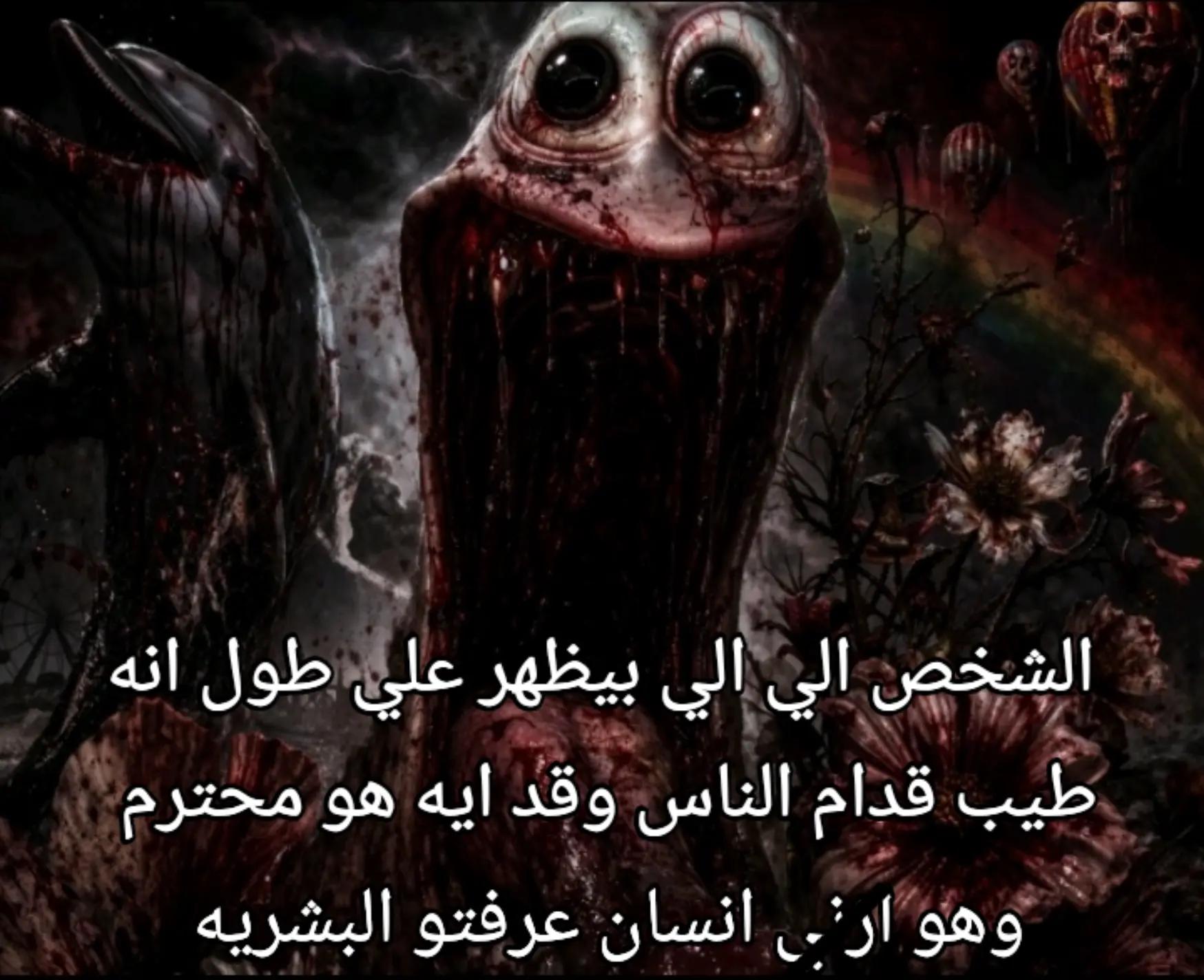 @شوكه مطبخ