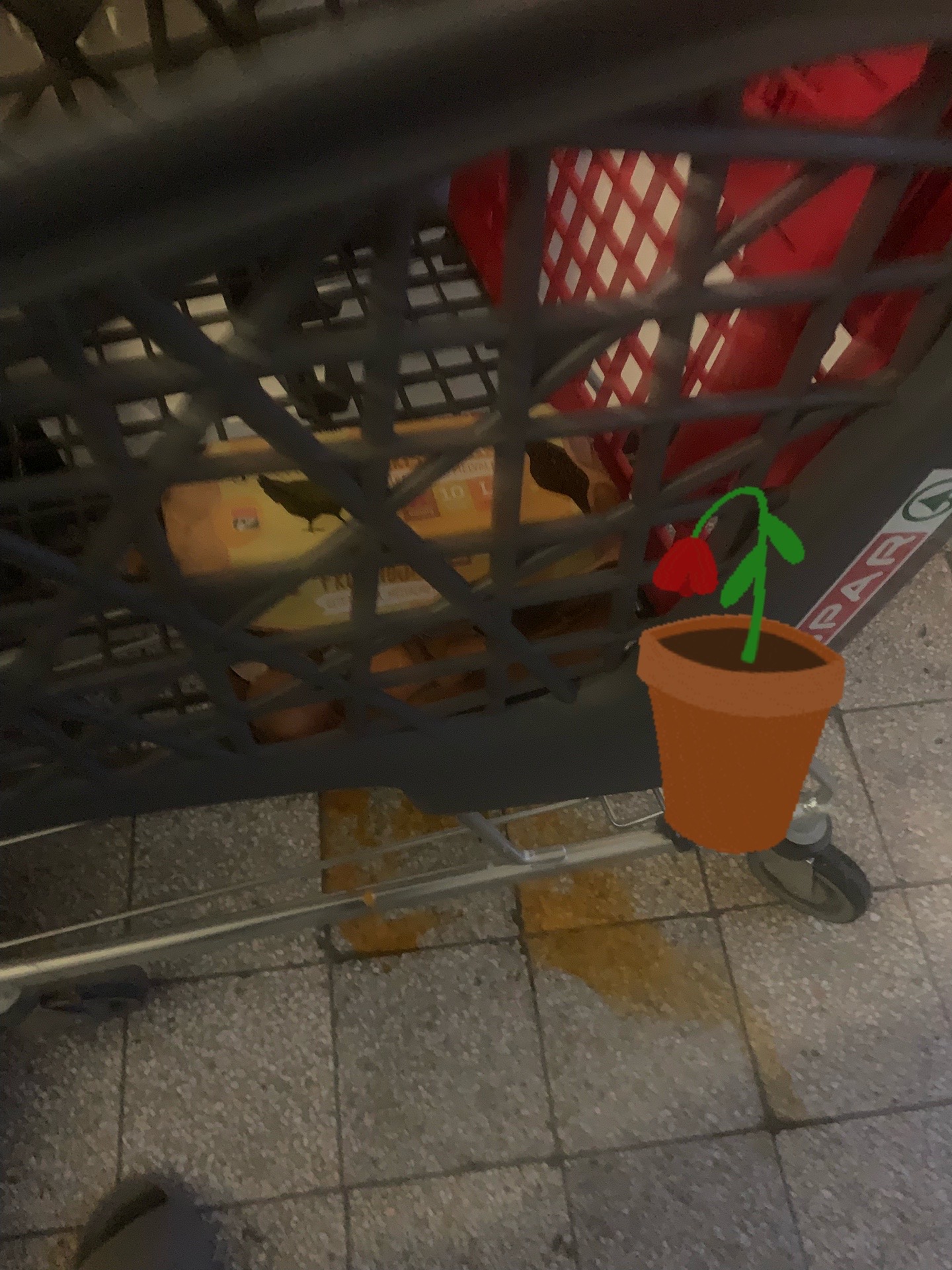 @𝕳𝖊𝖞𝖉𝖆𝖗