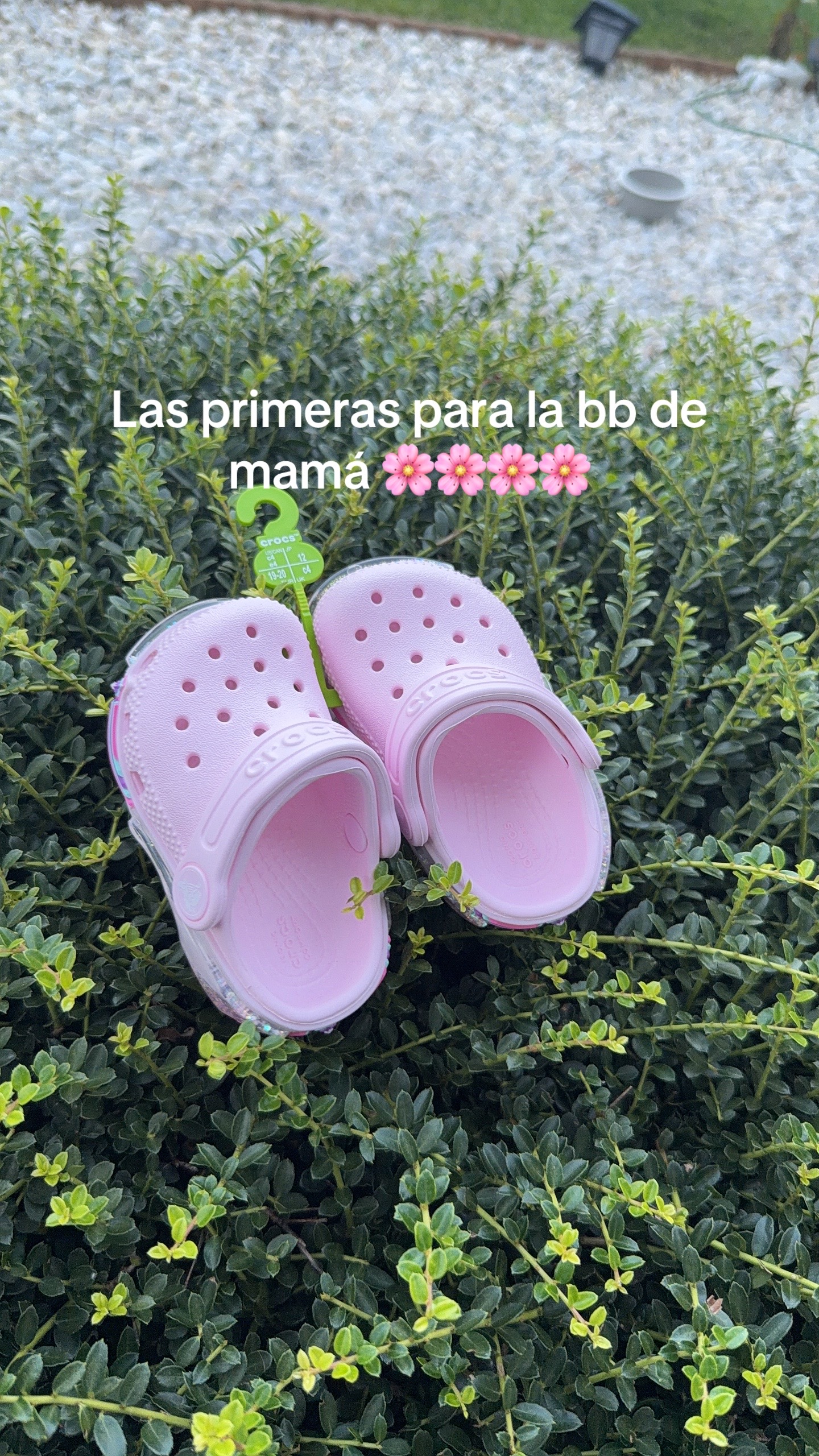 @🌷Heydi🌷