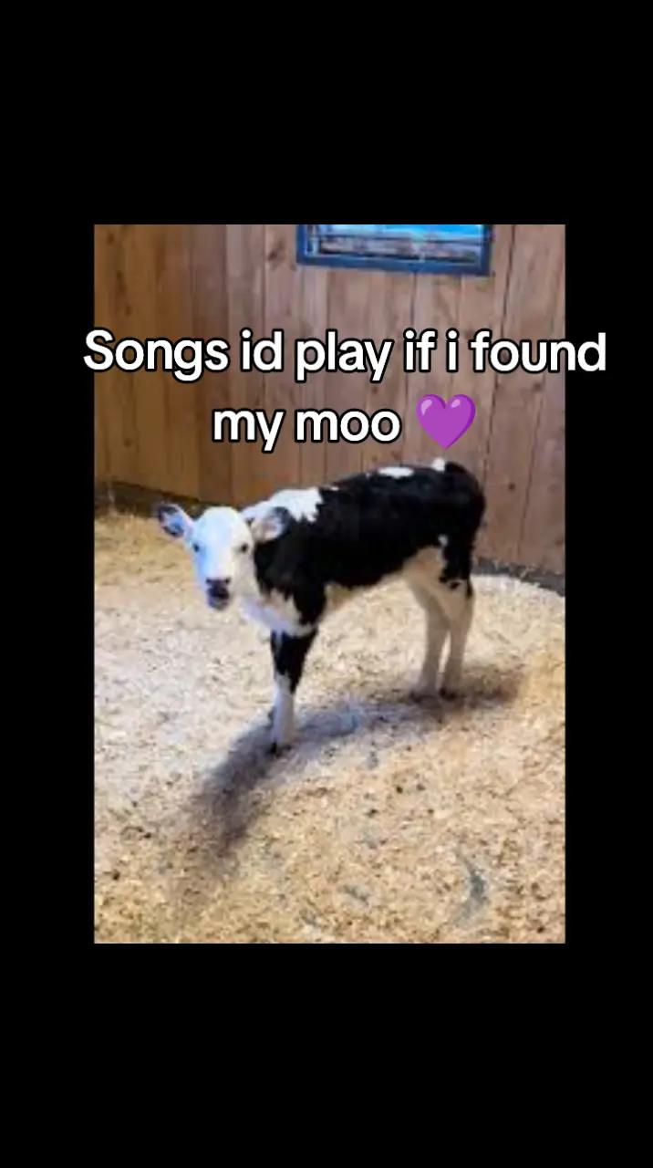 @Moo