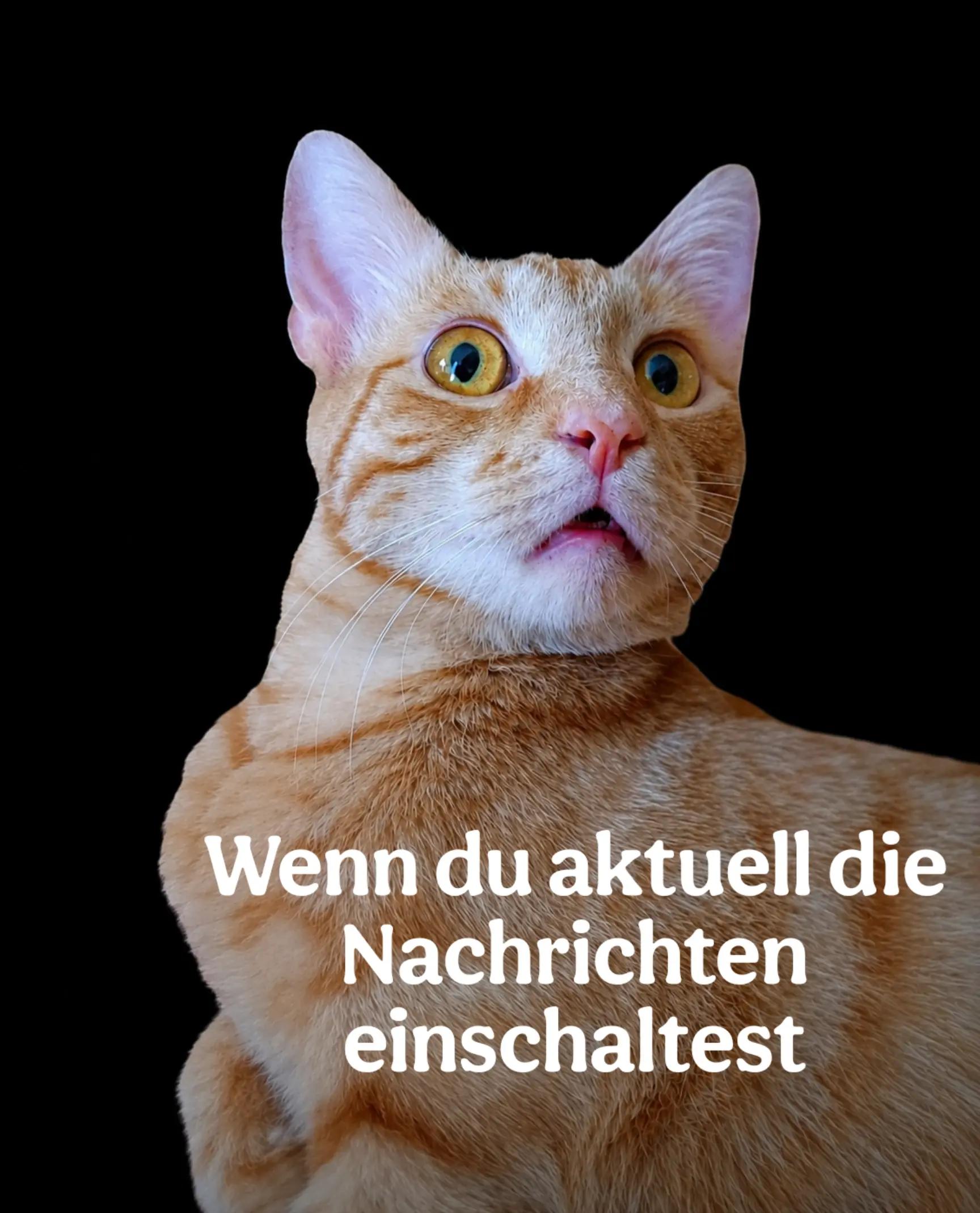 @Jenny Rubus