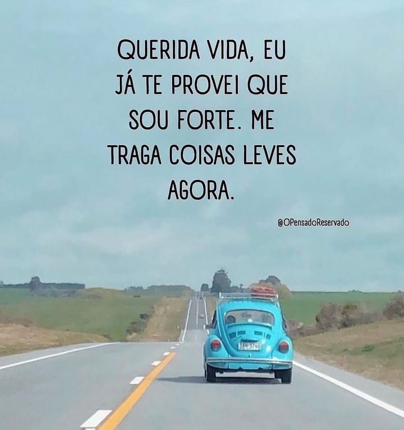 @Sandra Neiva