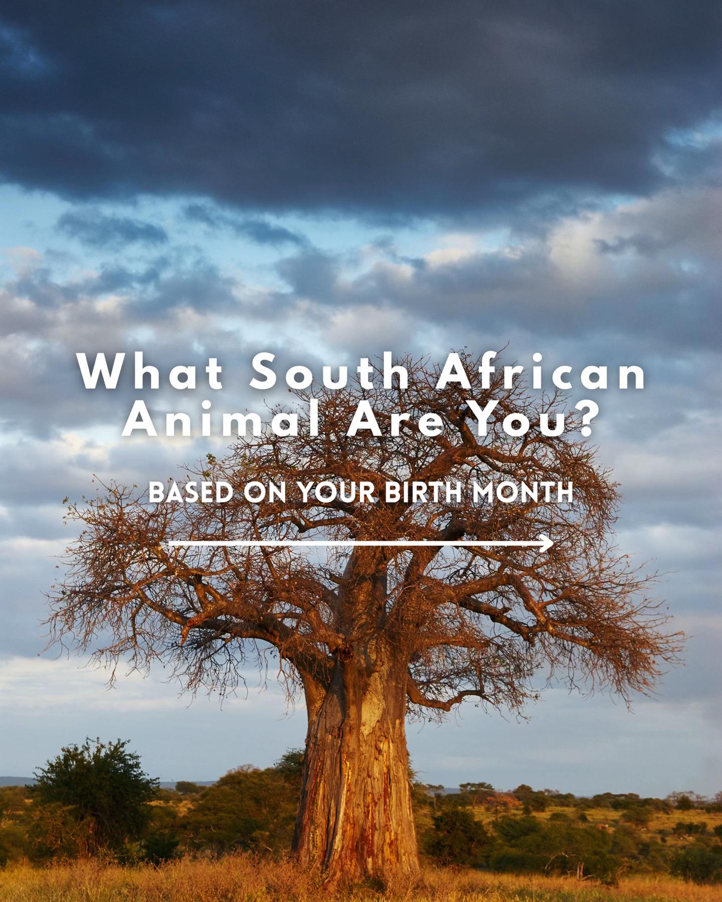 @Mister_Fourie
