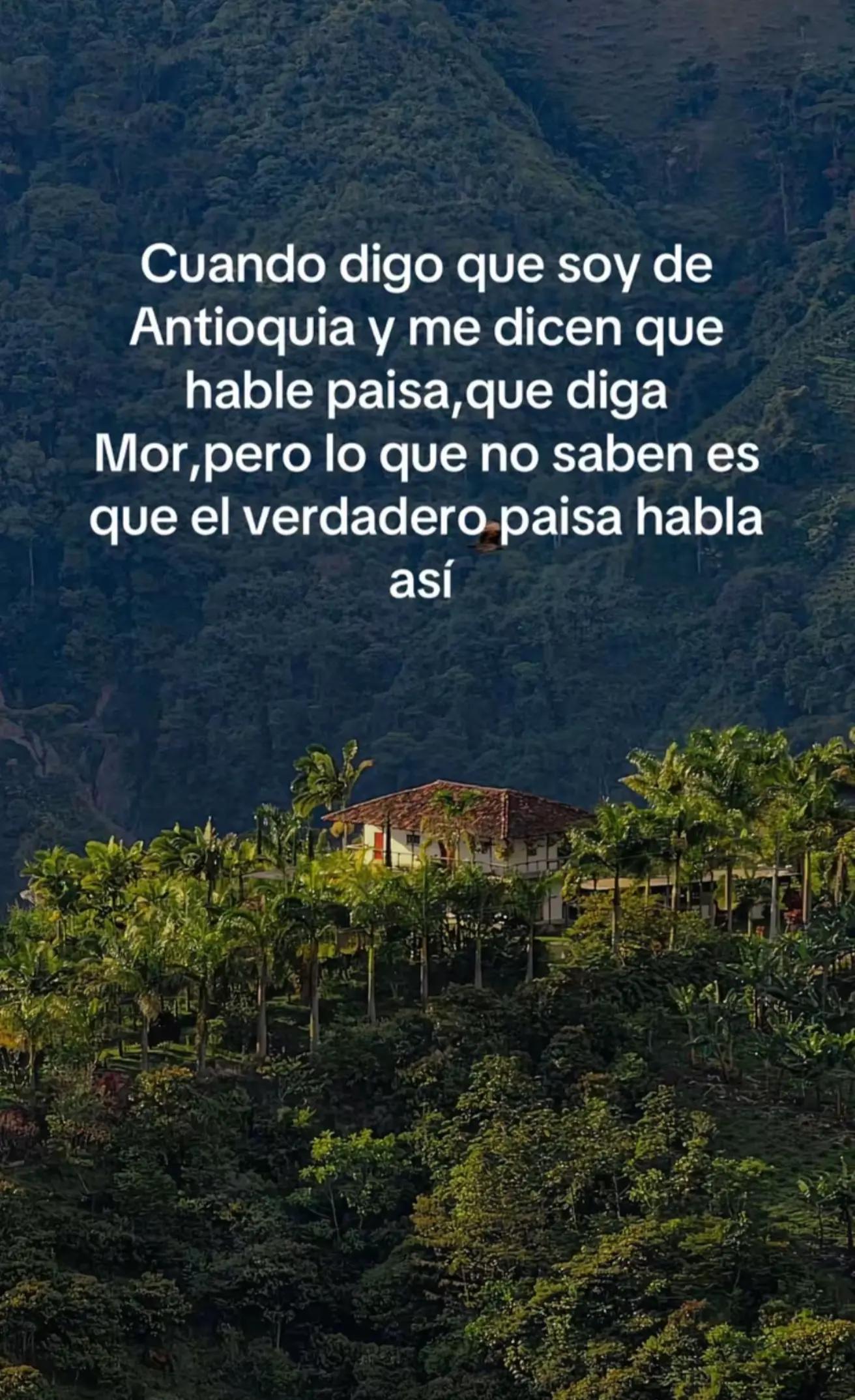 @Estiven_Ayala