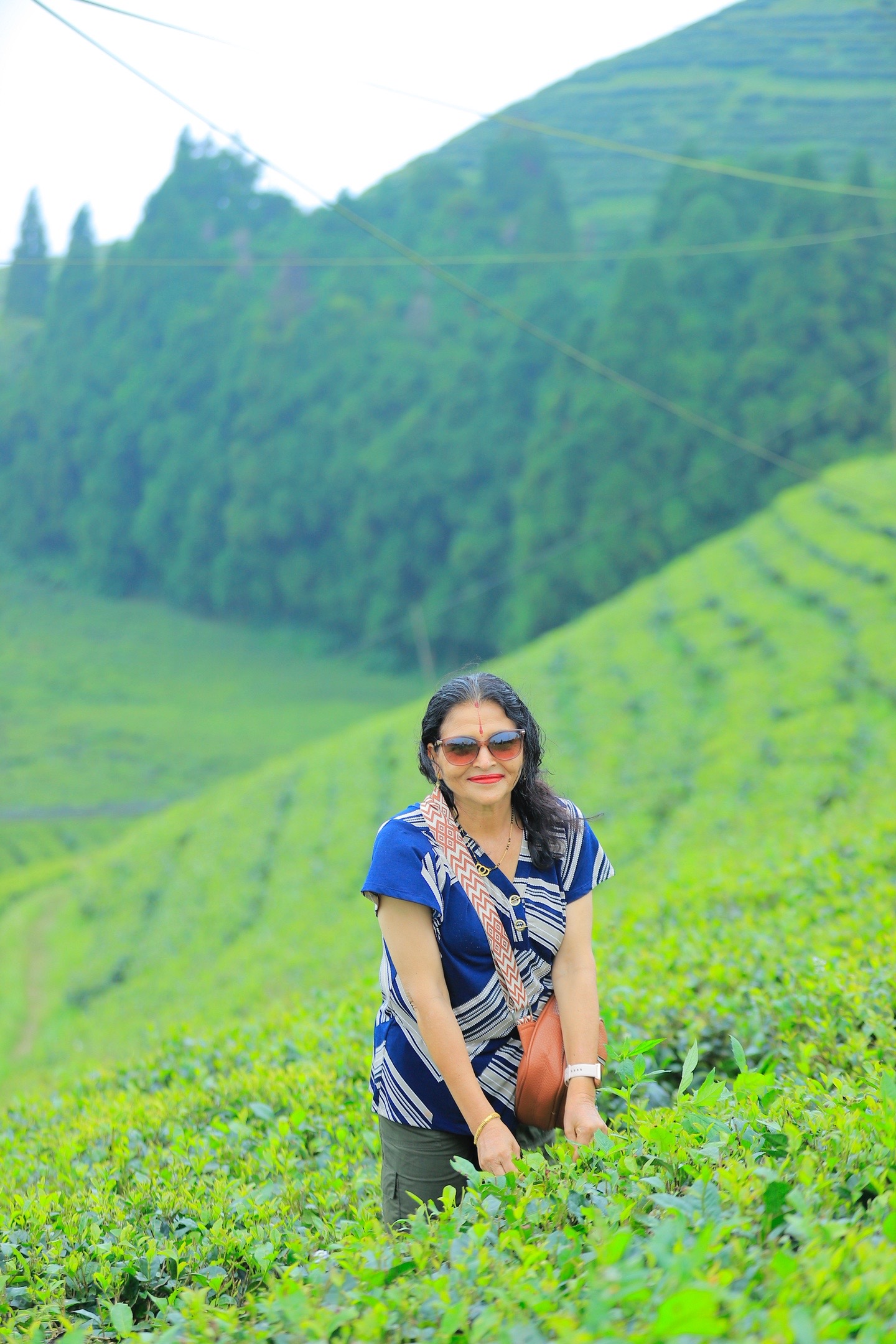 @M s Adhikari 35