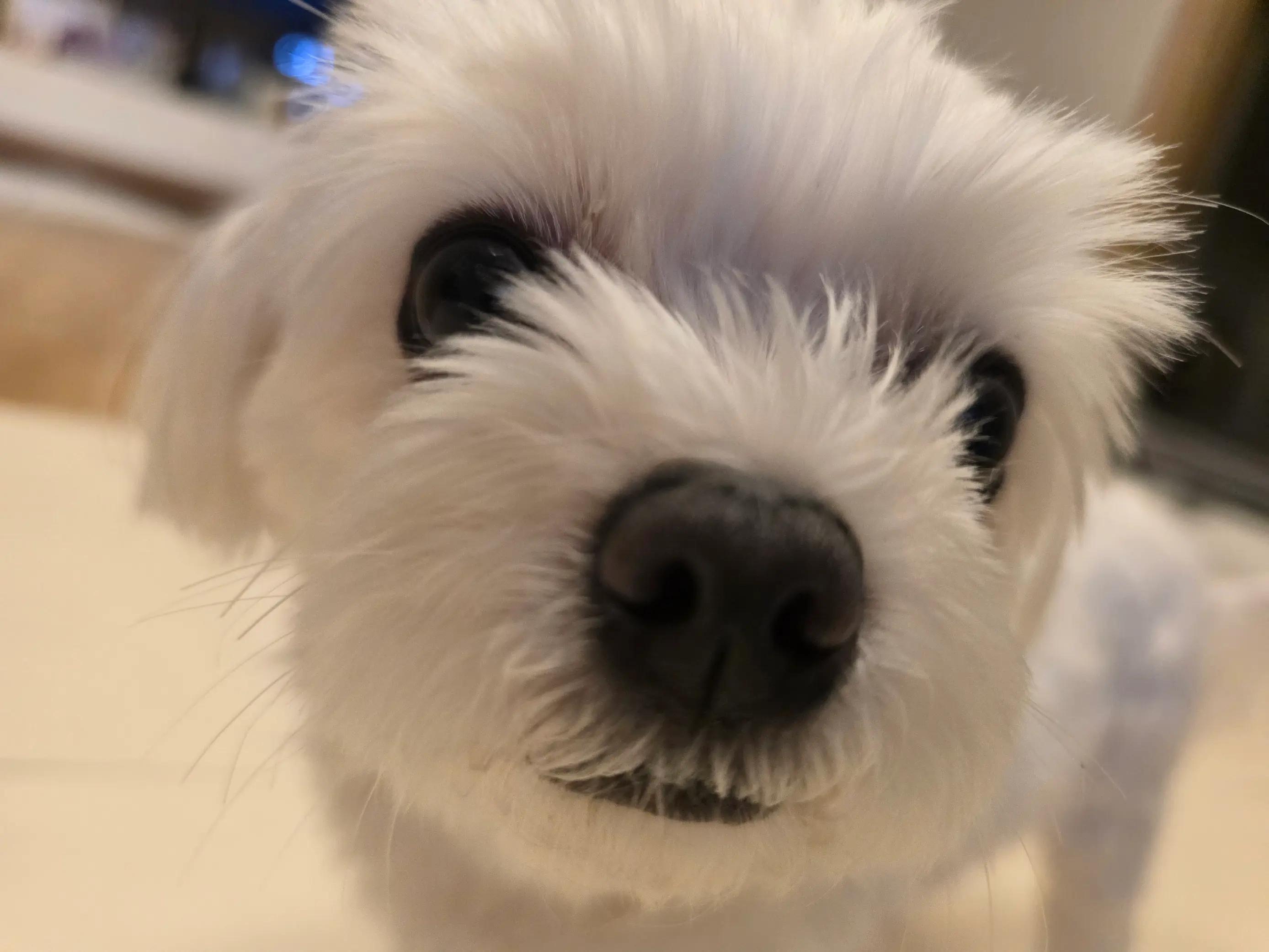 @쪼꼬소예