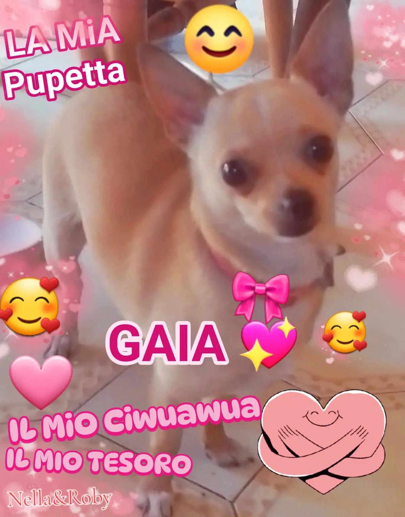 @Nella🤍🖤❤️&zwj;🔥