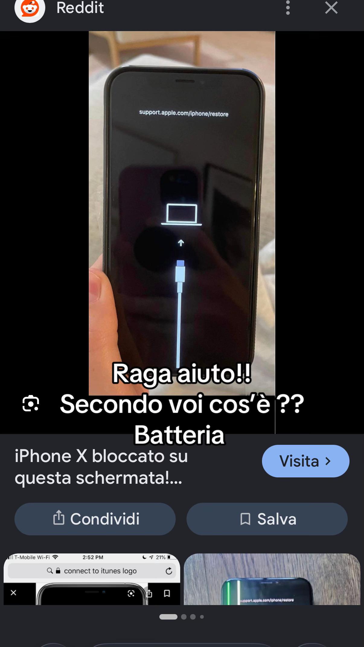 @carmen albolino