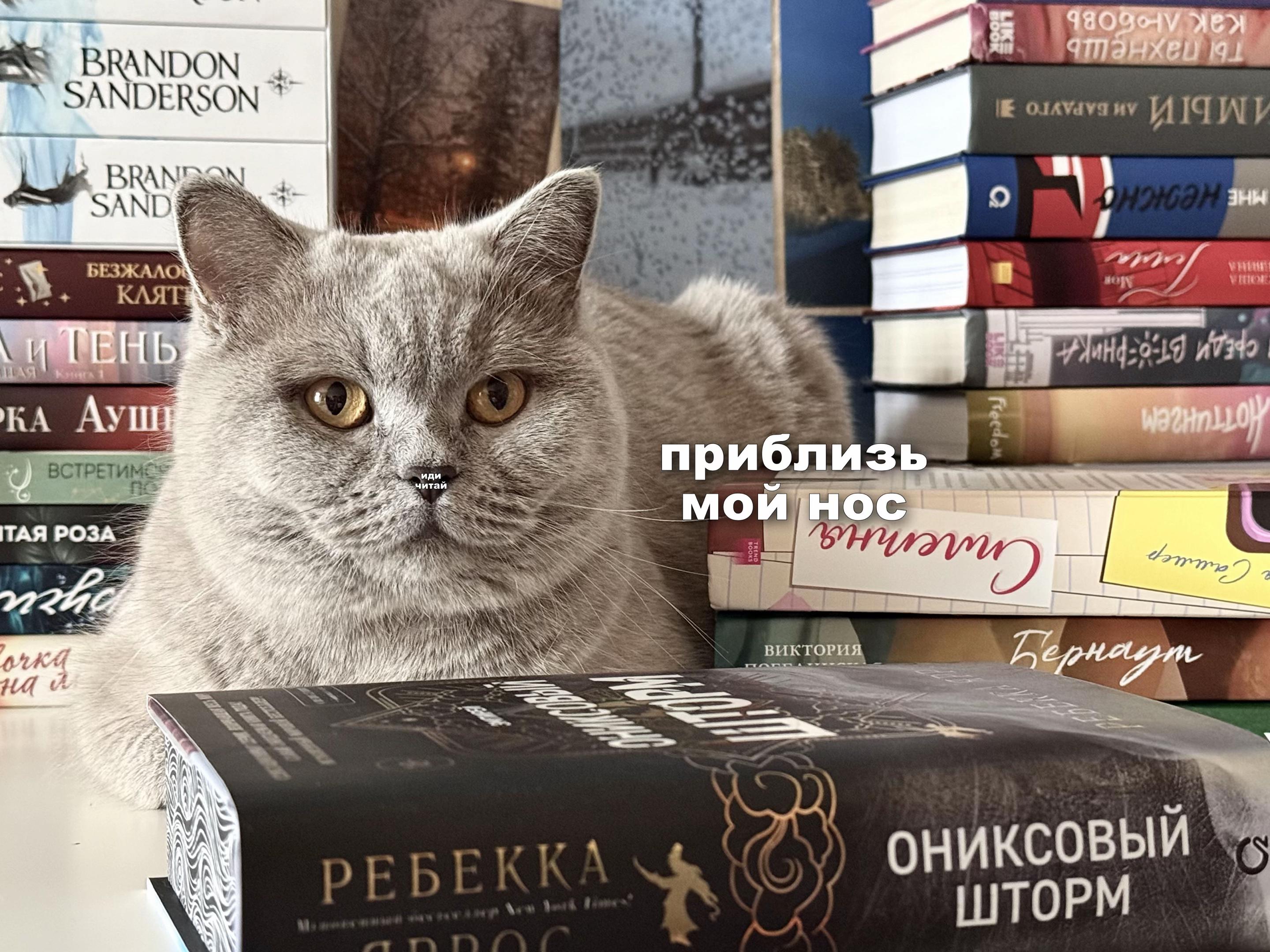 @Рожденная книгами | Ангелина
