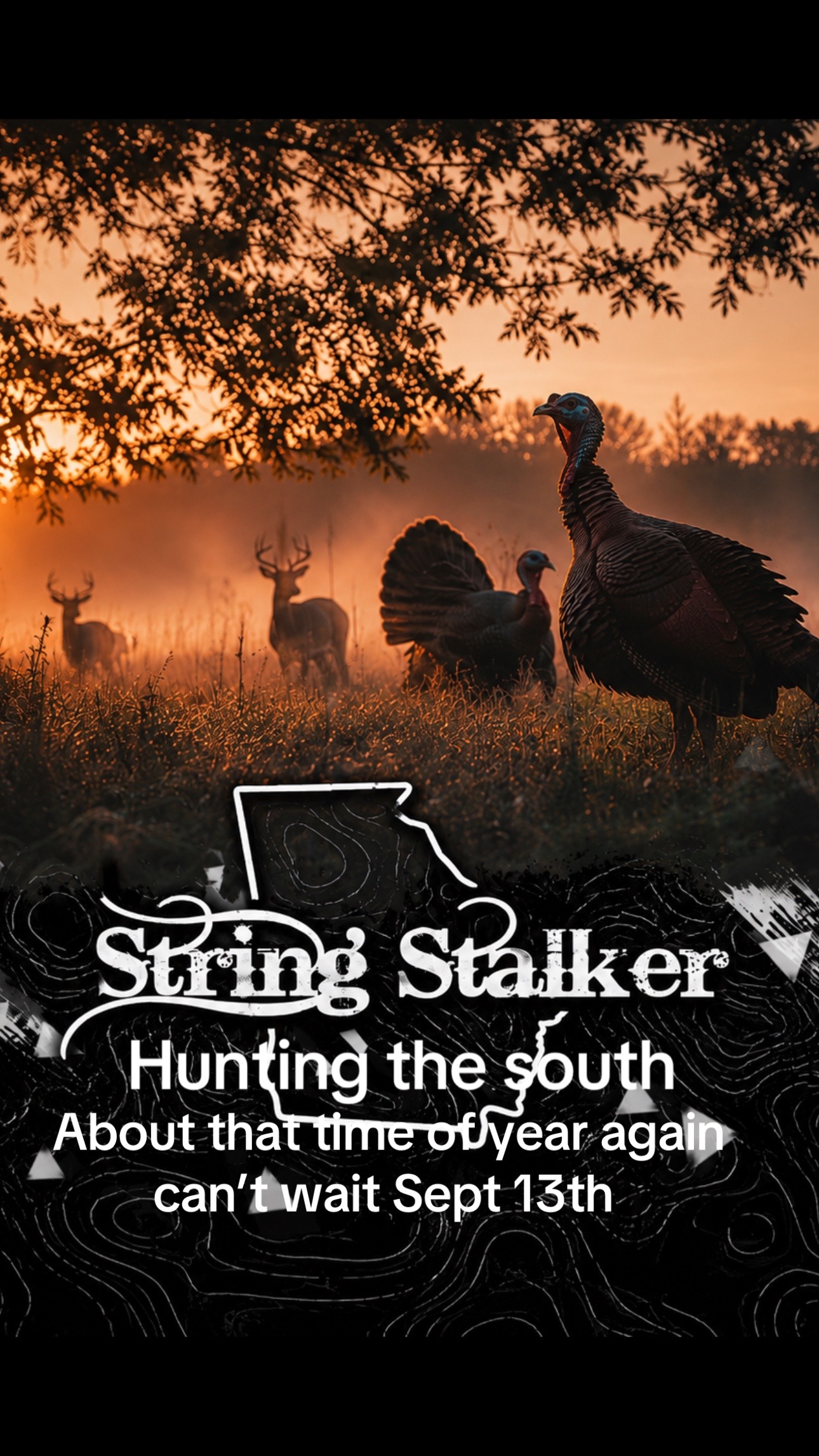 @GEORGIA STRING STALKER