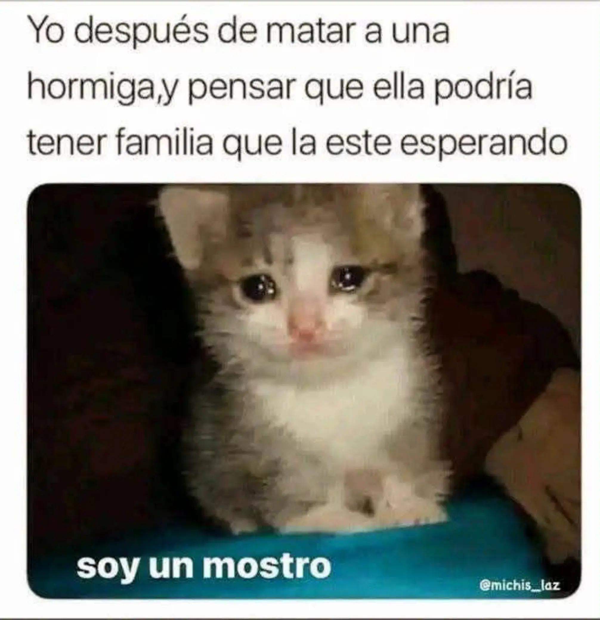 @Mooon
