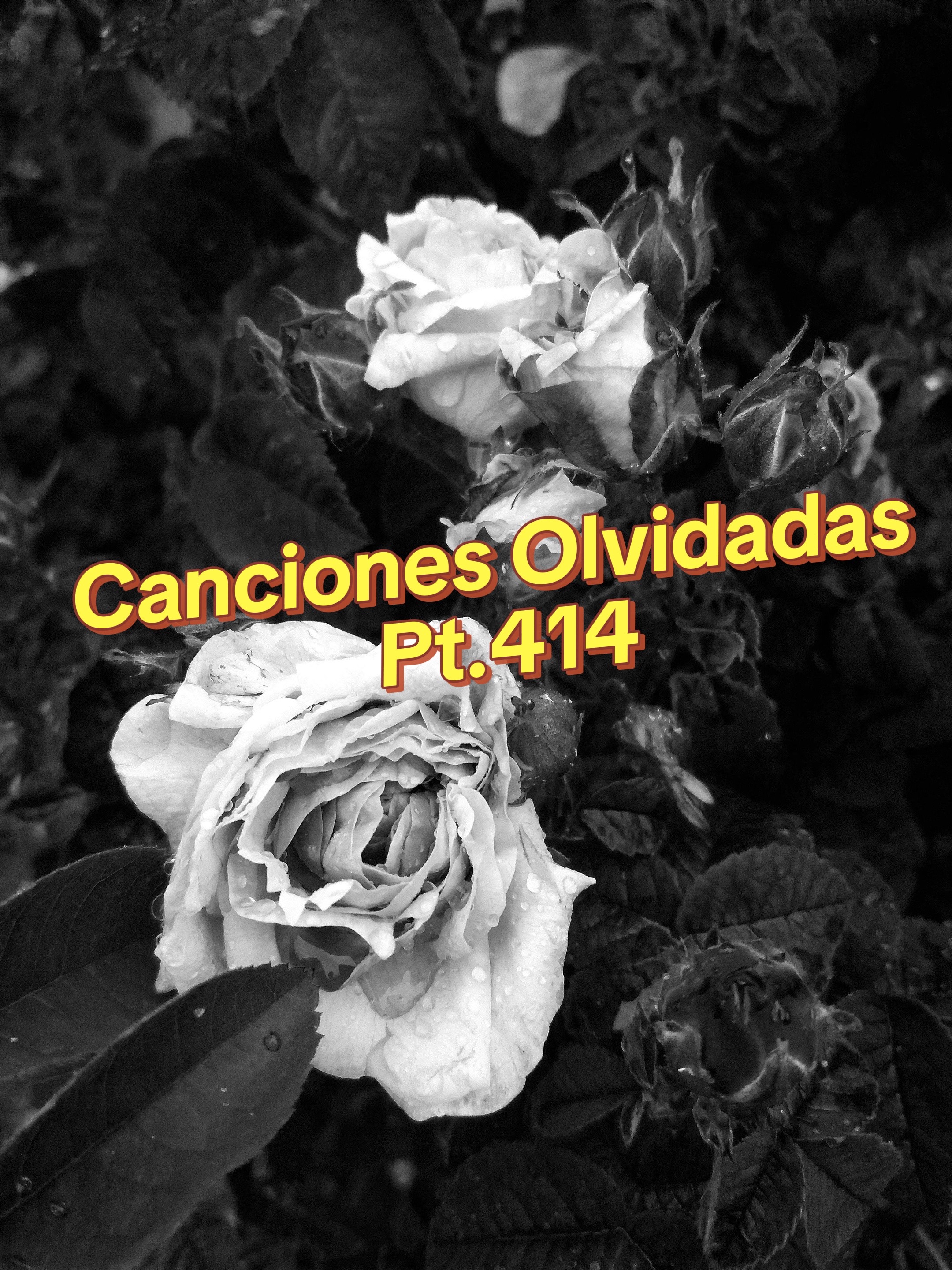 @TUDJJD