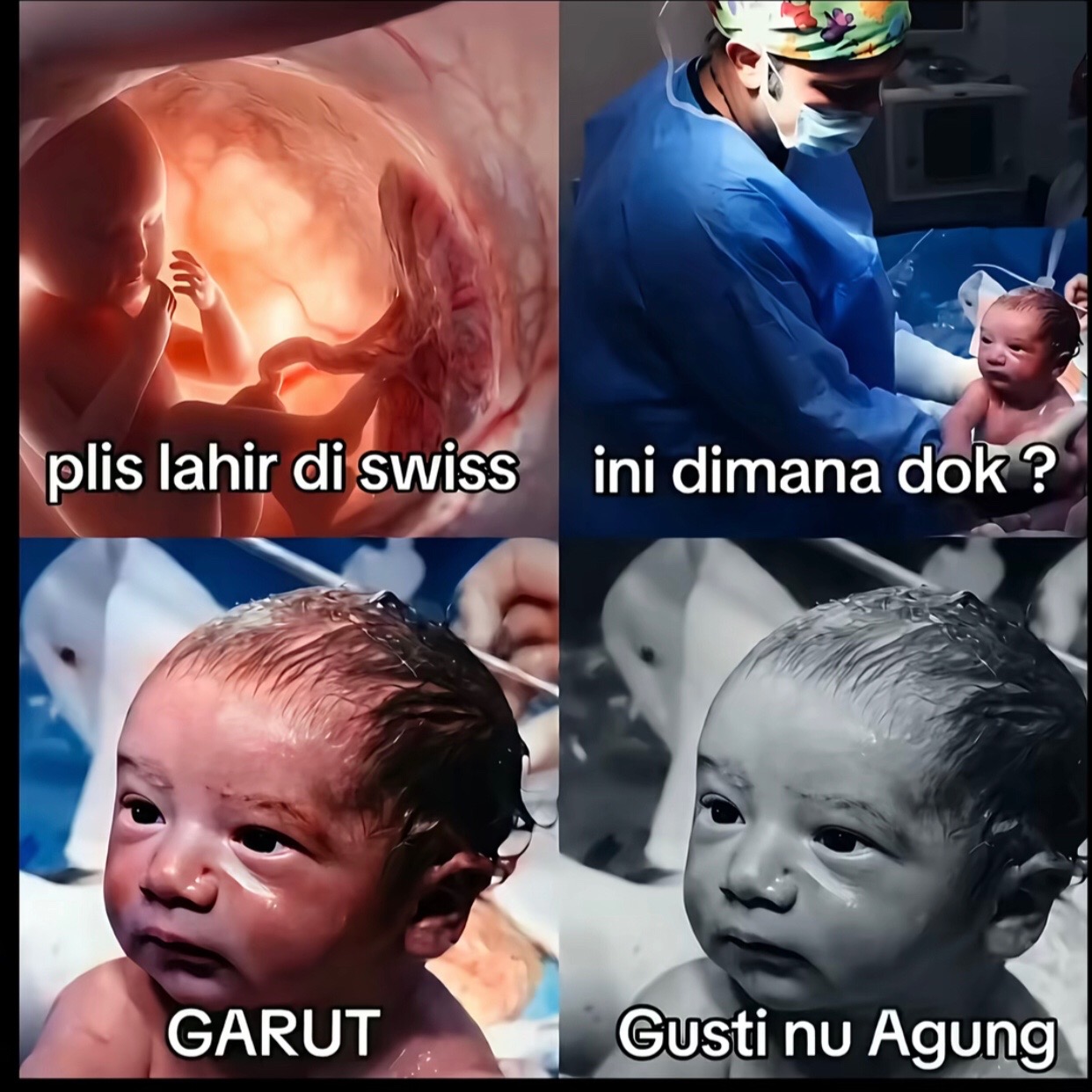 @dava