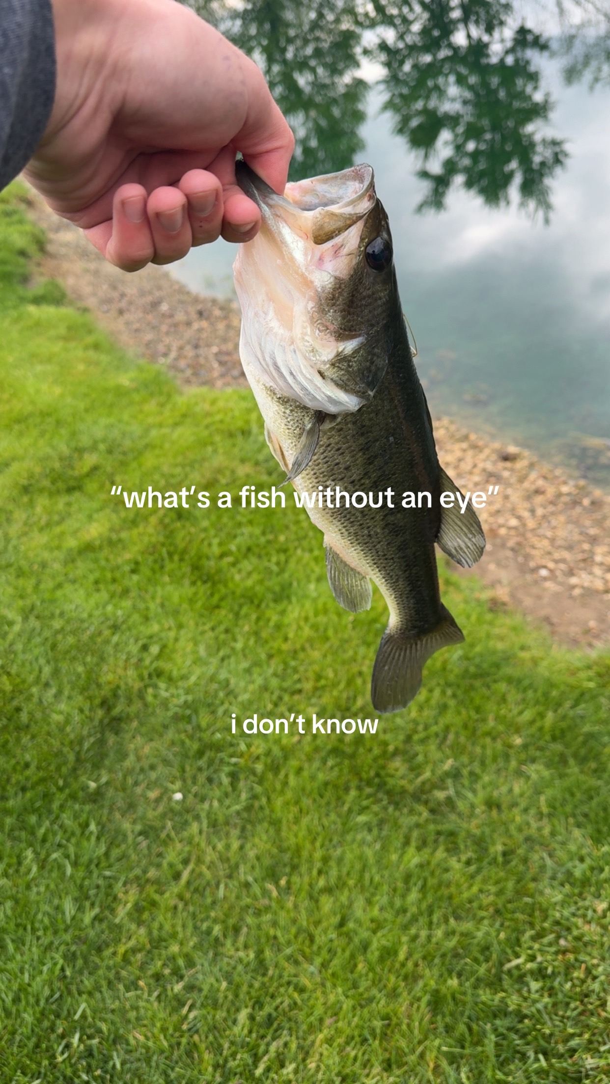 @jackballerguy28