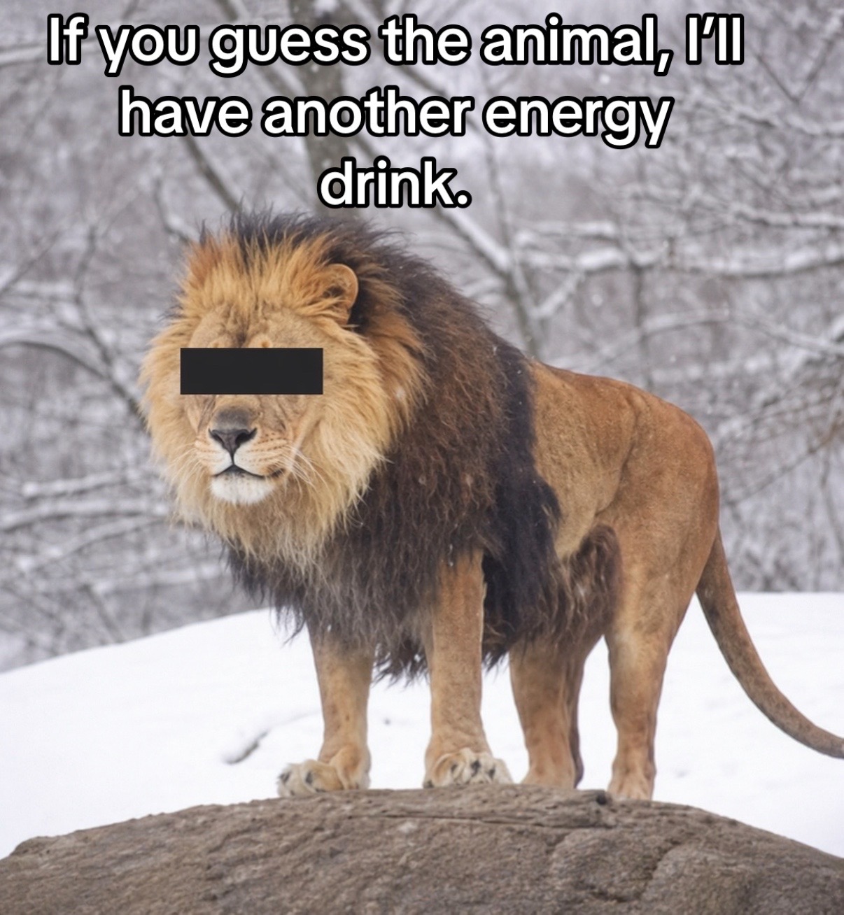 @LiquidMoraleEnergy