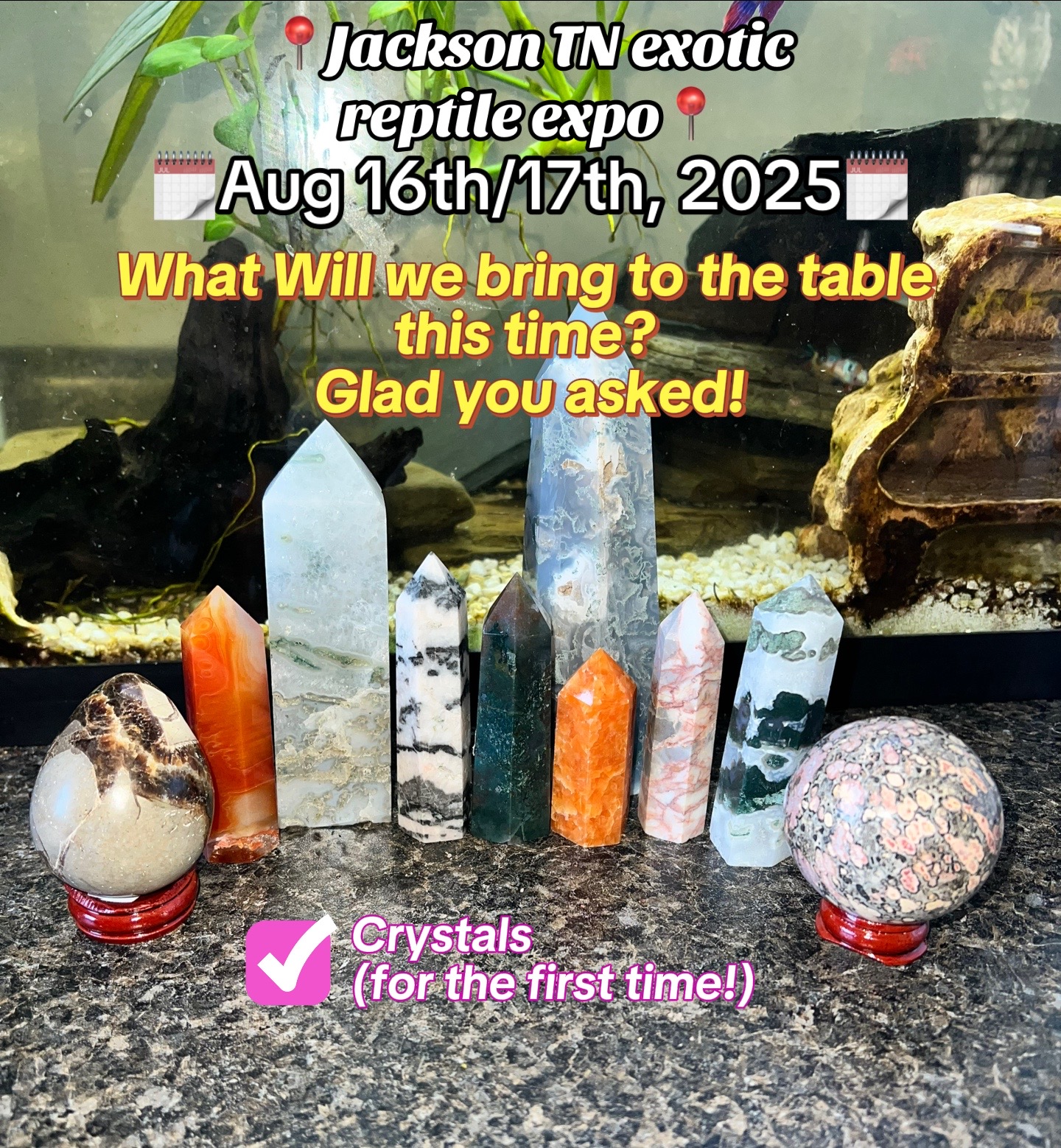 @Mystic.Morphs