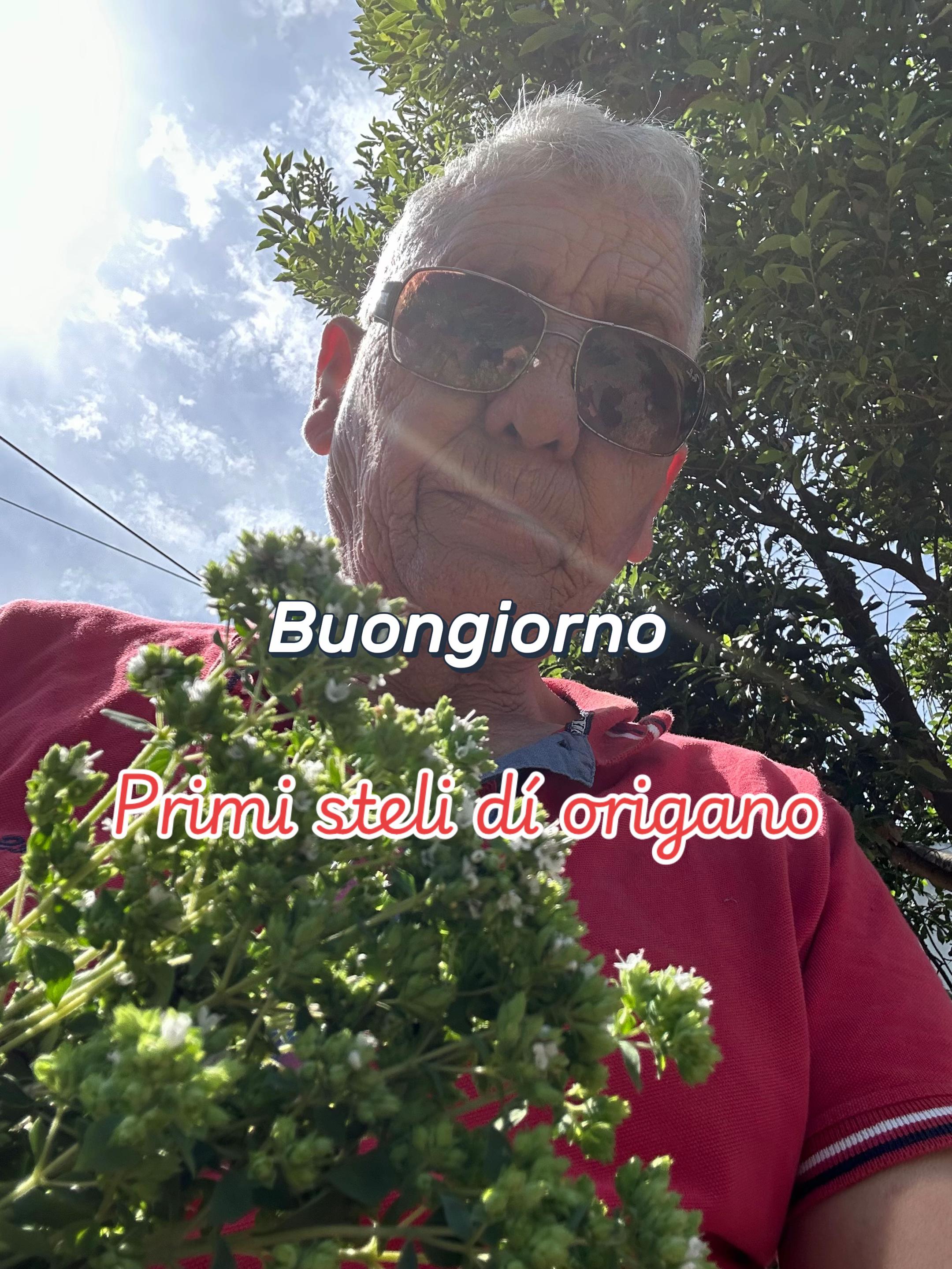 @Paolo Cambareri 275