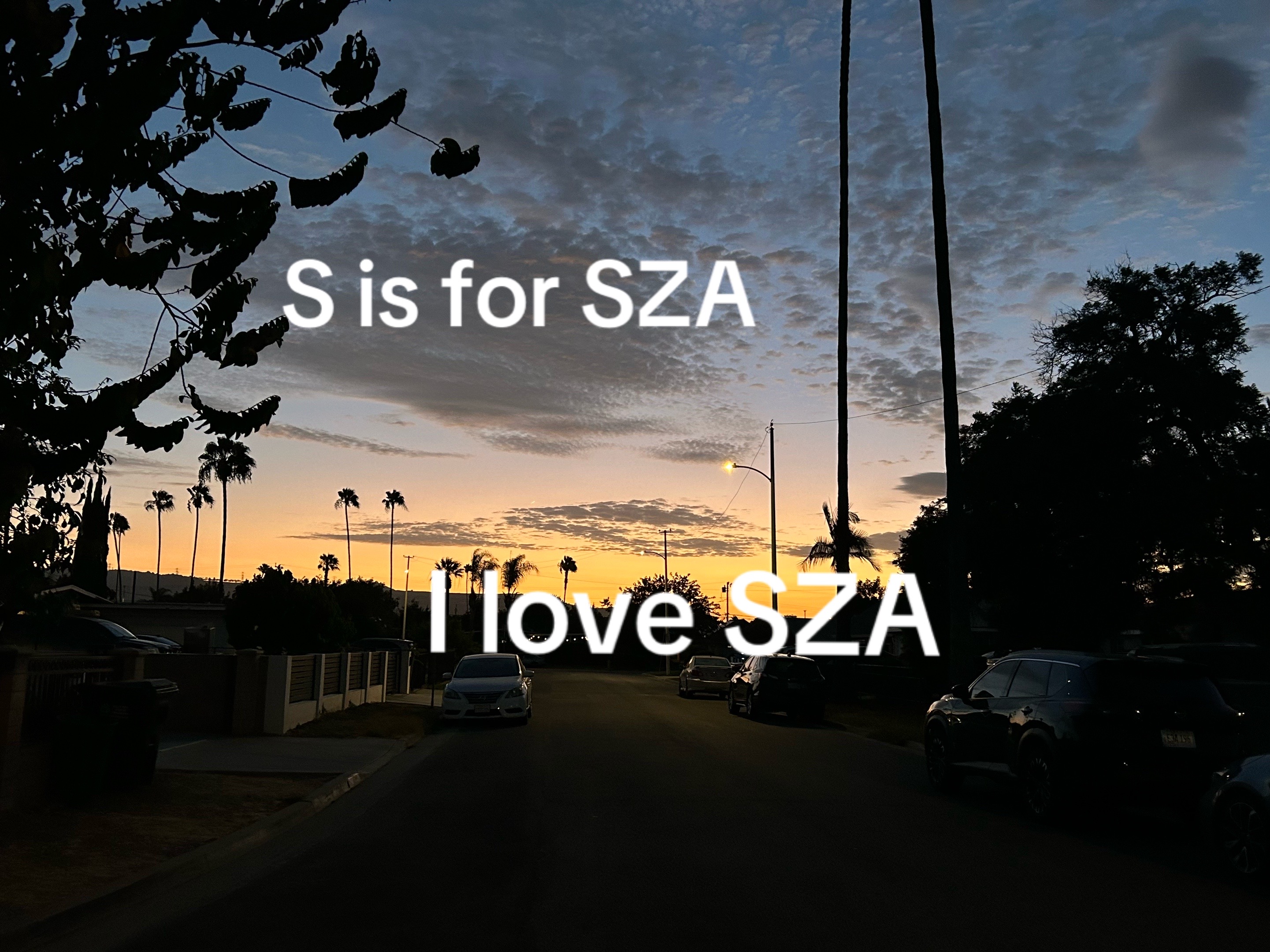 @I love SZA🐞